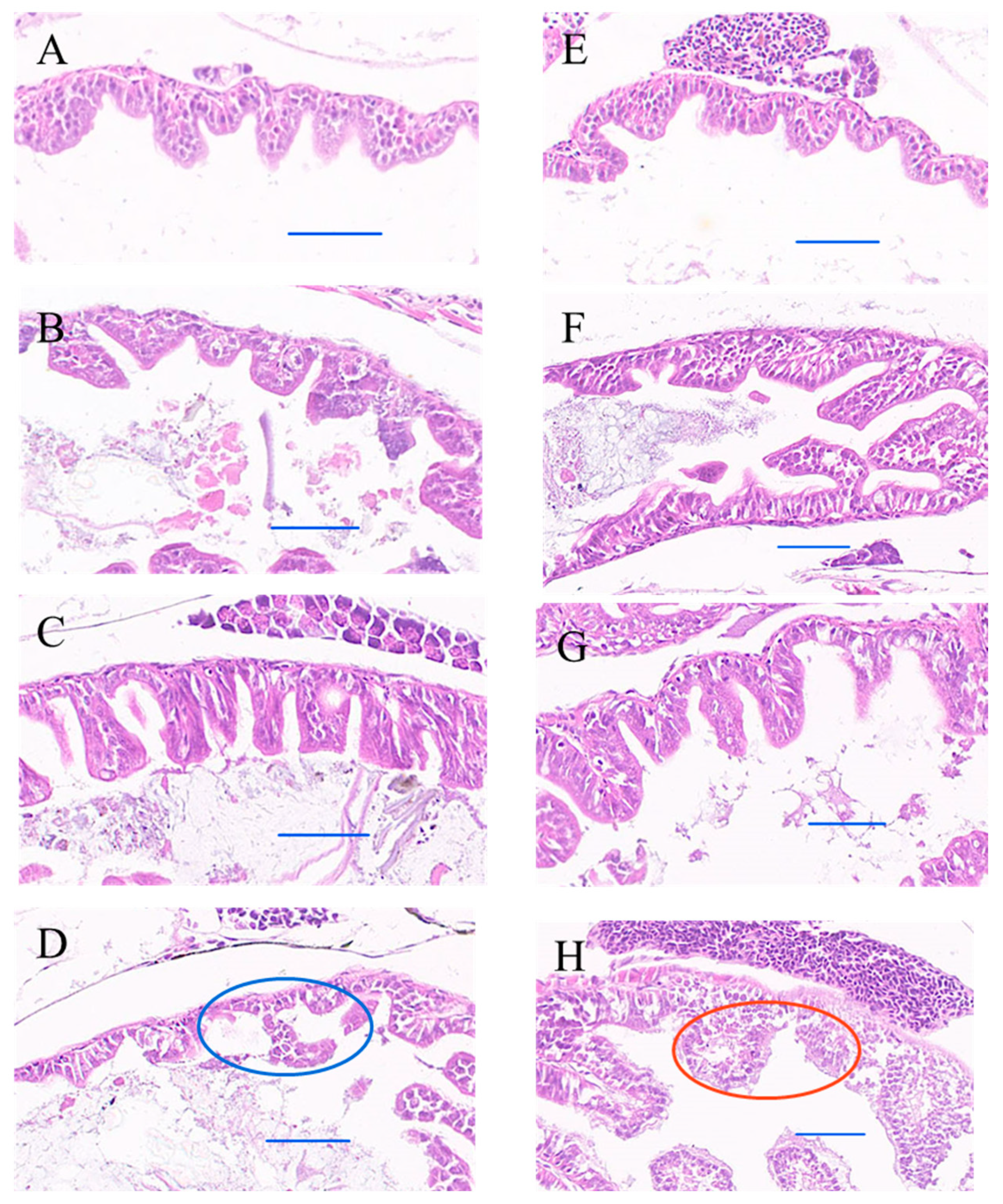Toxics 12 00594 g005