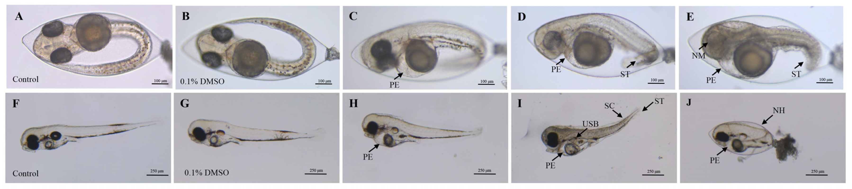 Toxics 12 00609 g001 Toxics 12 00609 g001