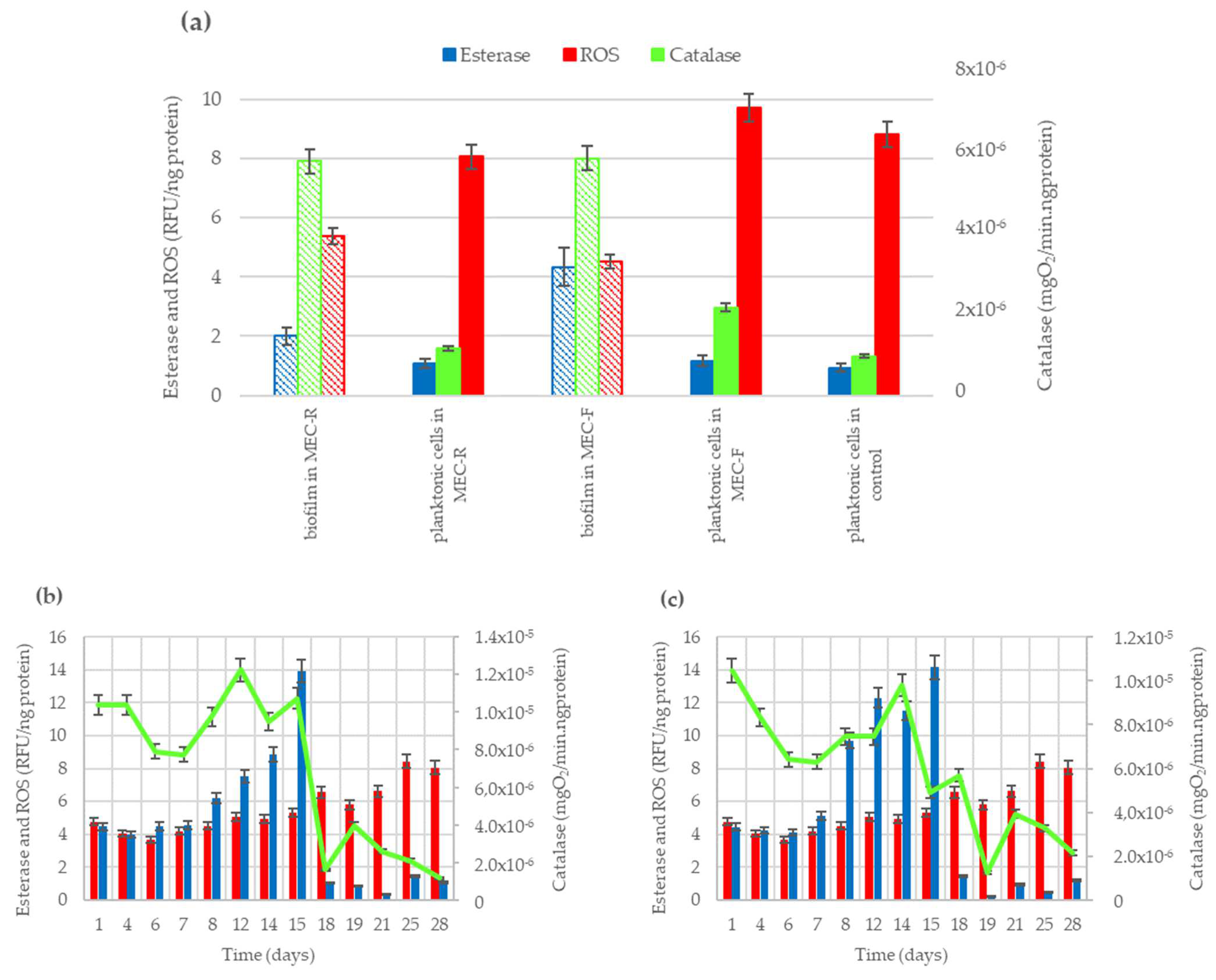 Toxics 12 00614 g001