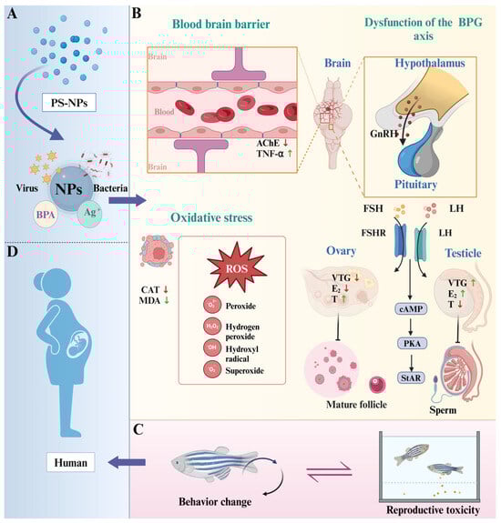 Toxics 12 00617 g008