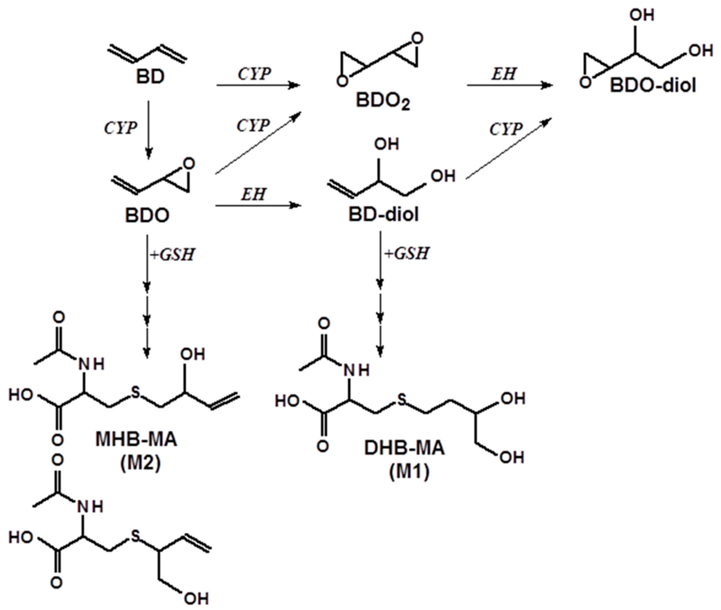Toxics 12 00623 g001 Toxics 12 00623 g001