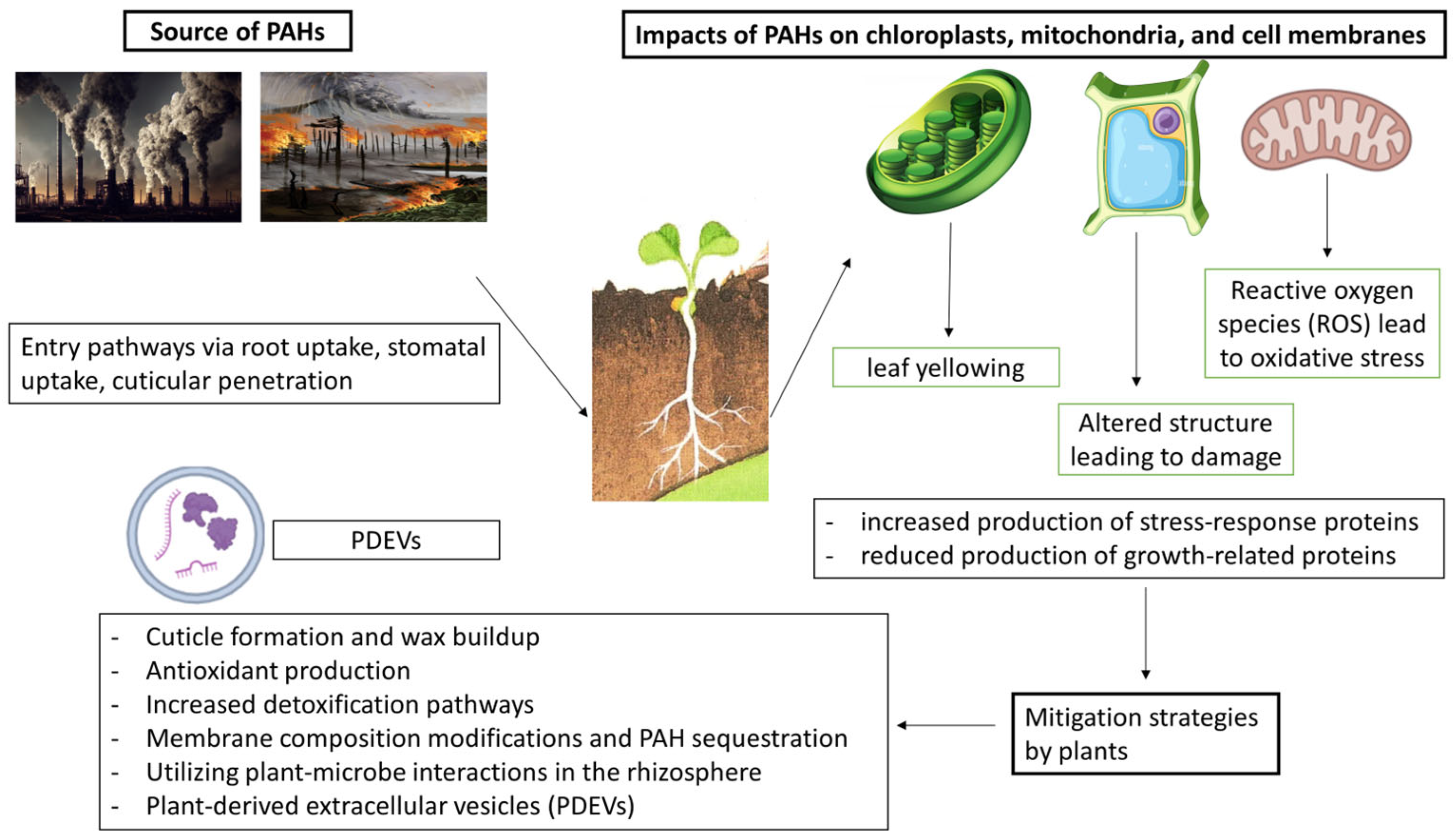 Toxics 12 00653 g002 Toxics 12 00653 g002
