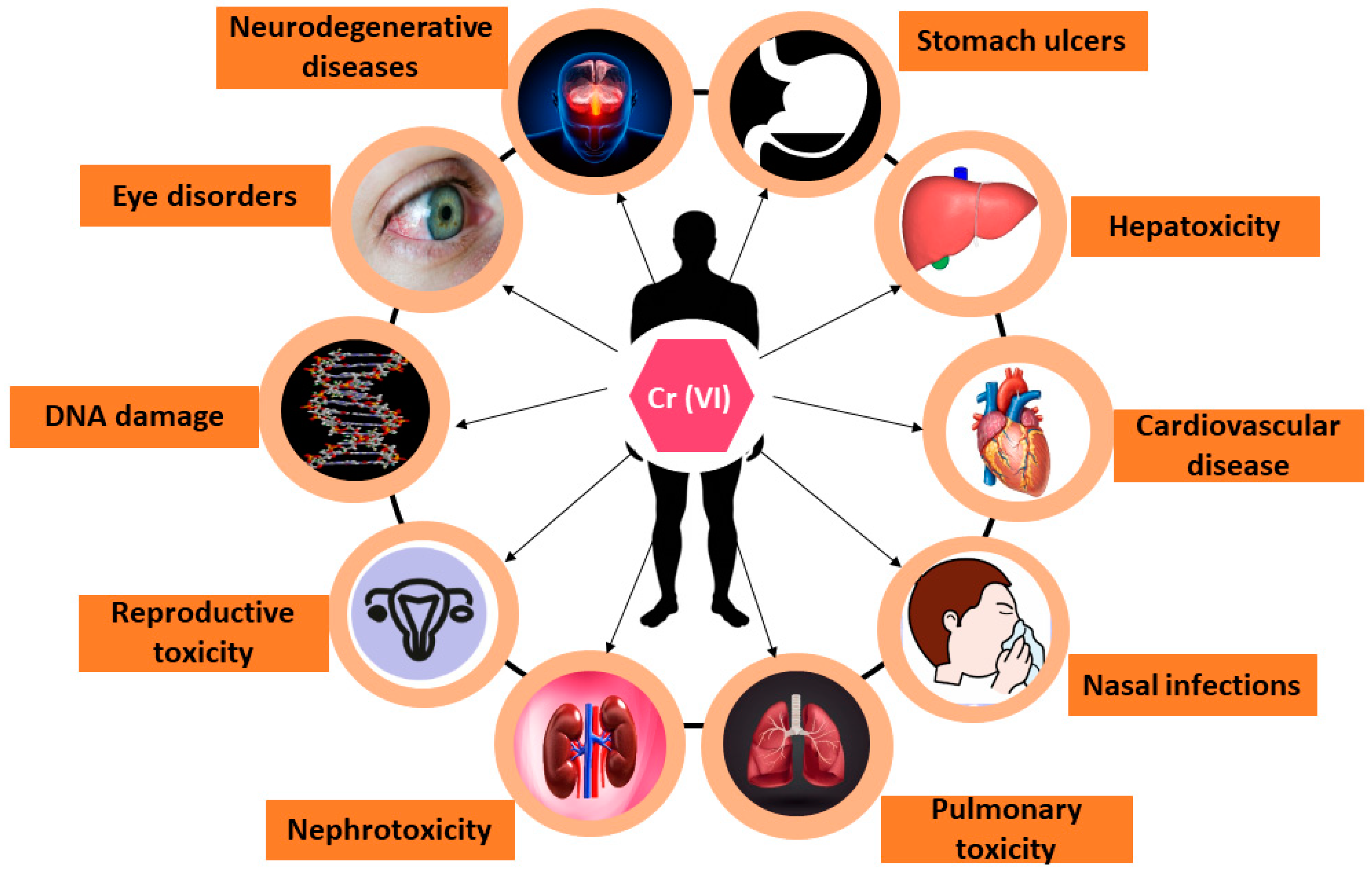 Toxics 12 00657 g001 Toxics 12 00657 g001