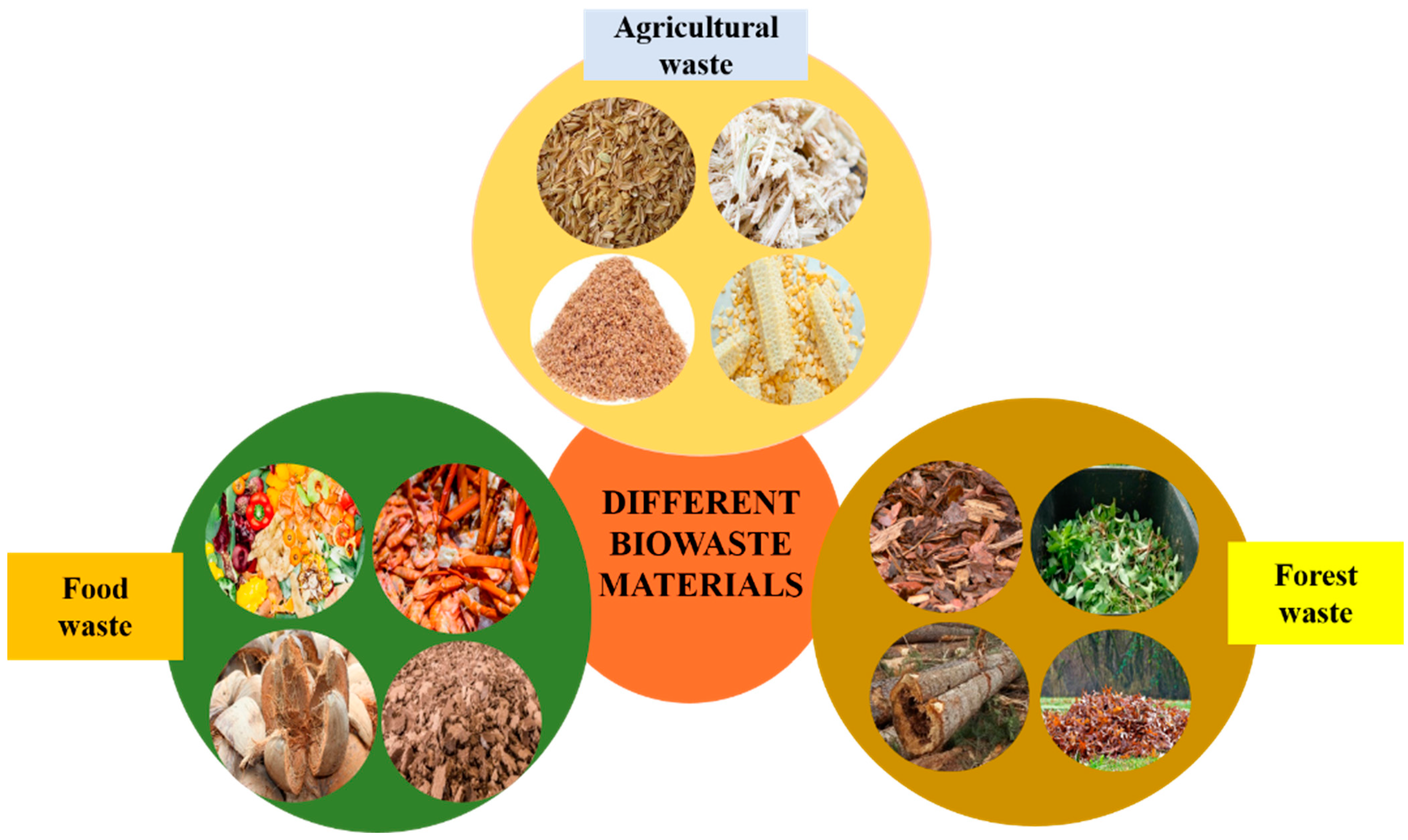 Toxics 12 00657 g002 Toxics 12 00657 g002