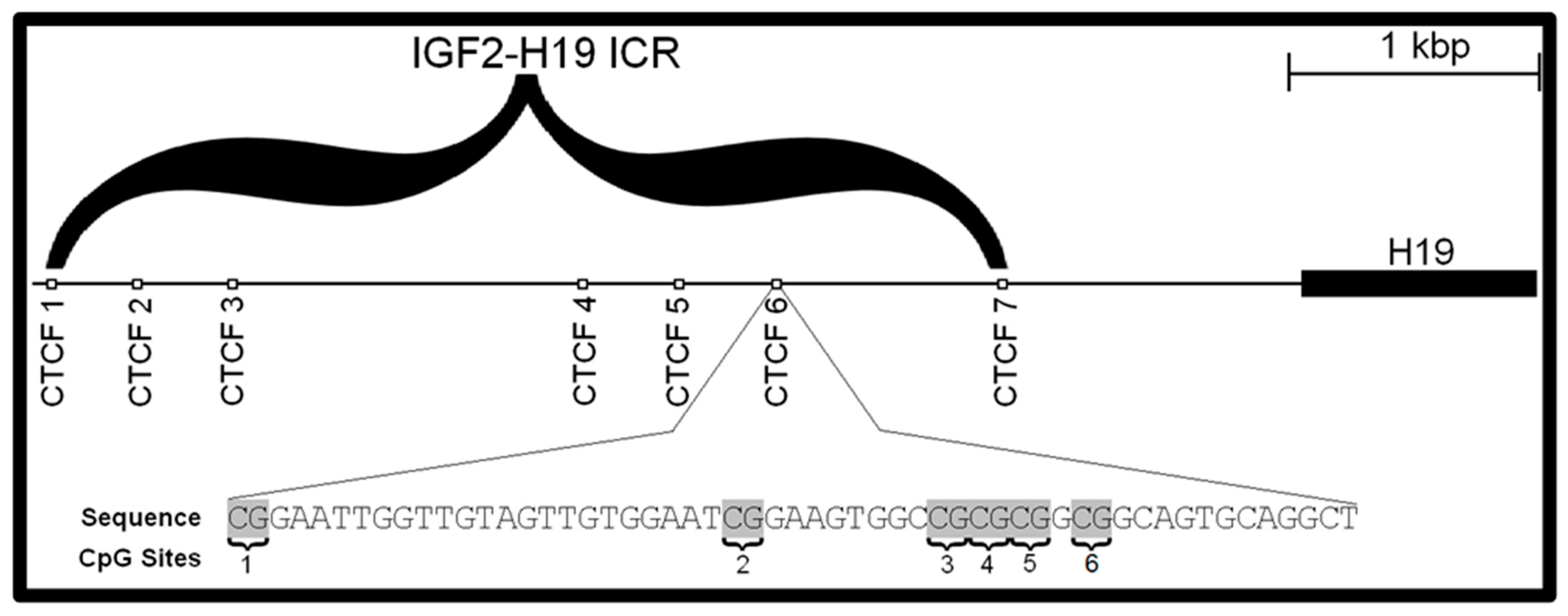 Toxics 12 00659 g002