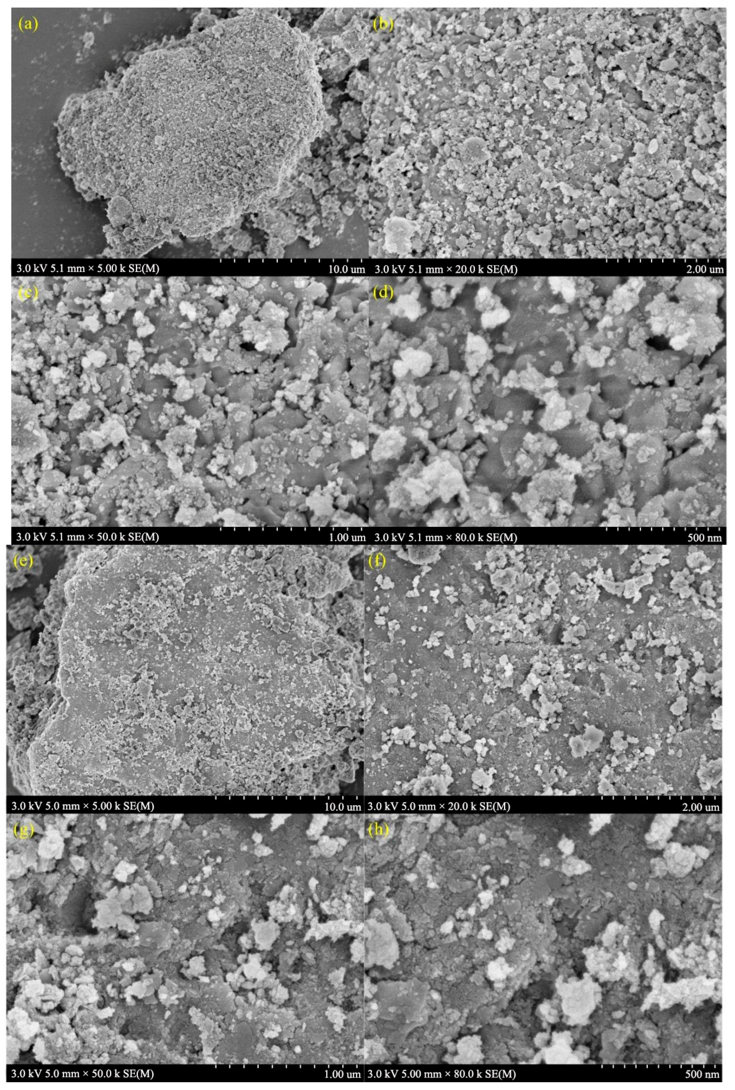 Toxics 12 00681 g008