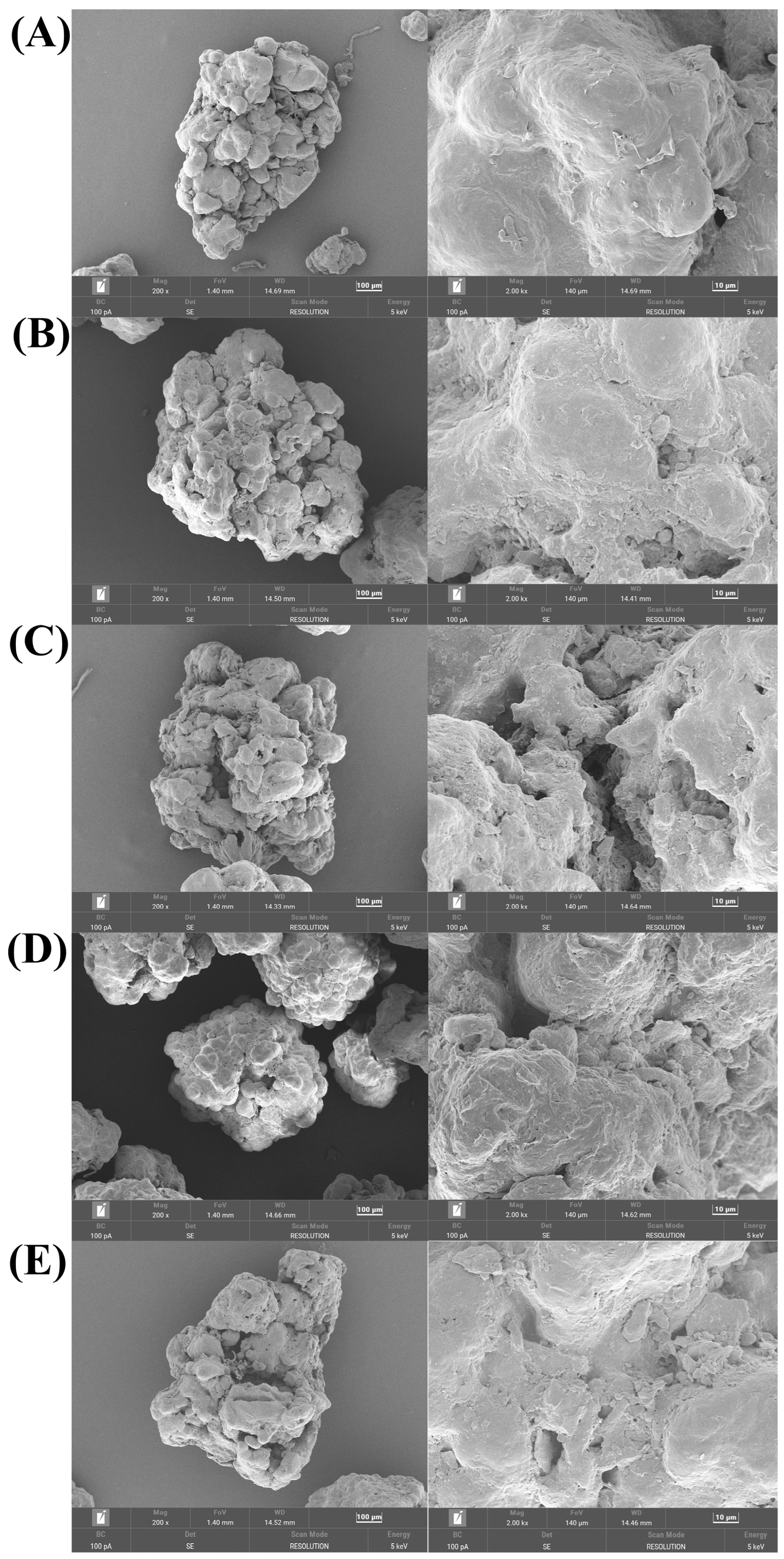 Toxics 12 00695 g006