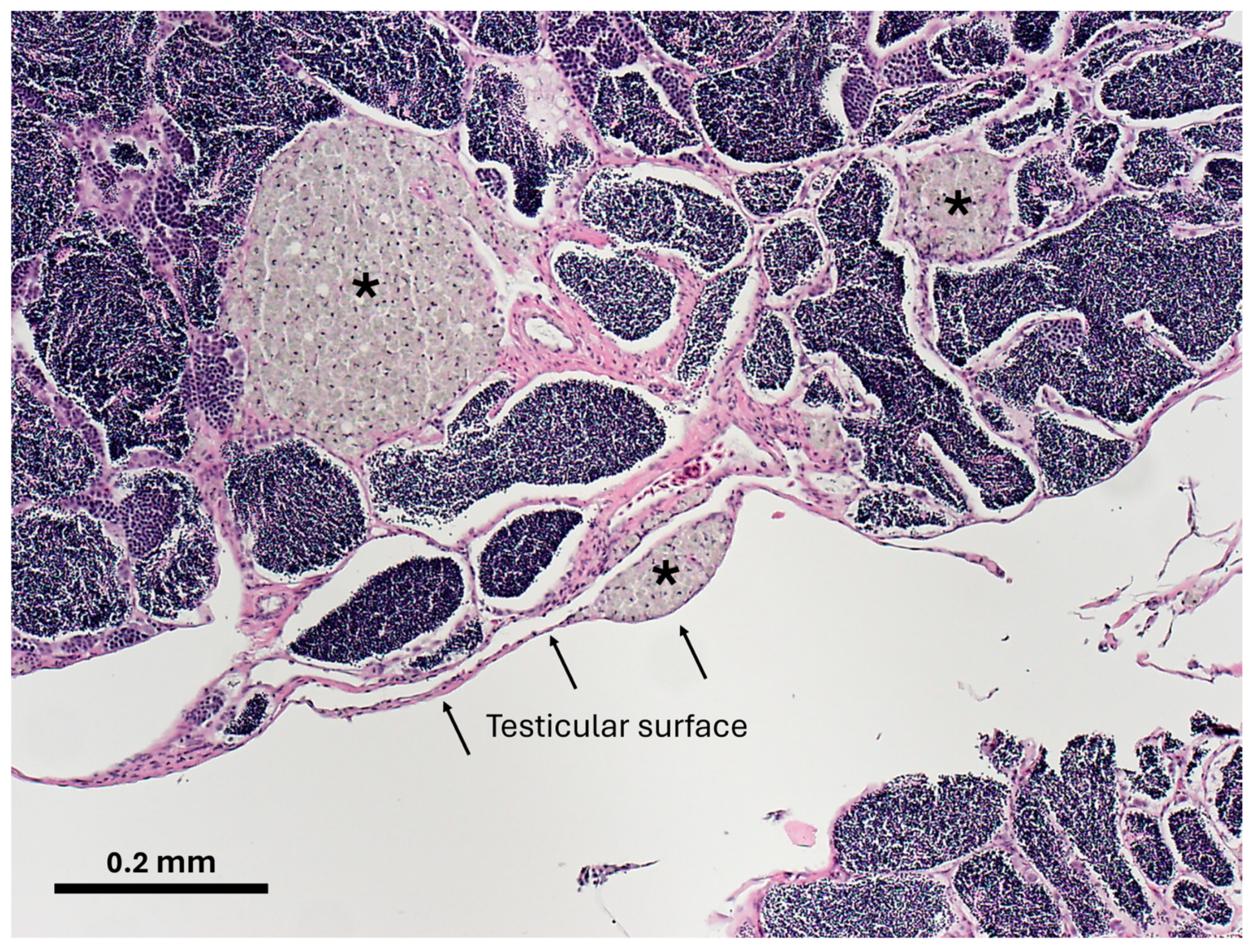 Toxics 12 00708 g006