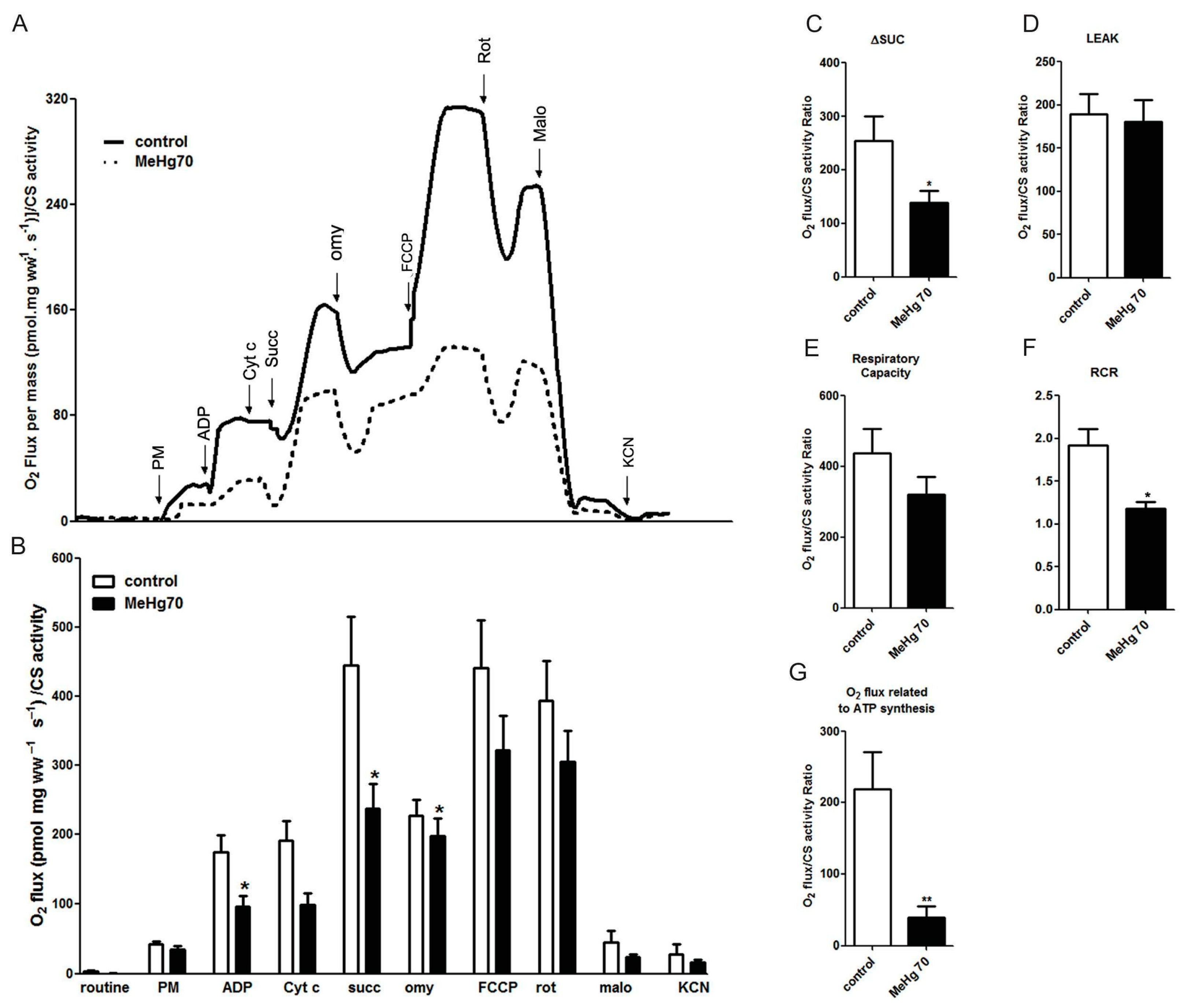 Toxics 12 00712 g005