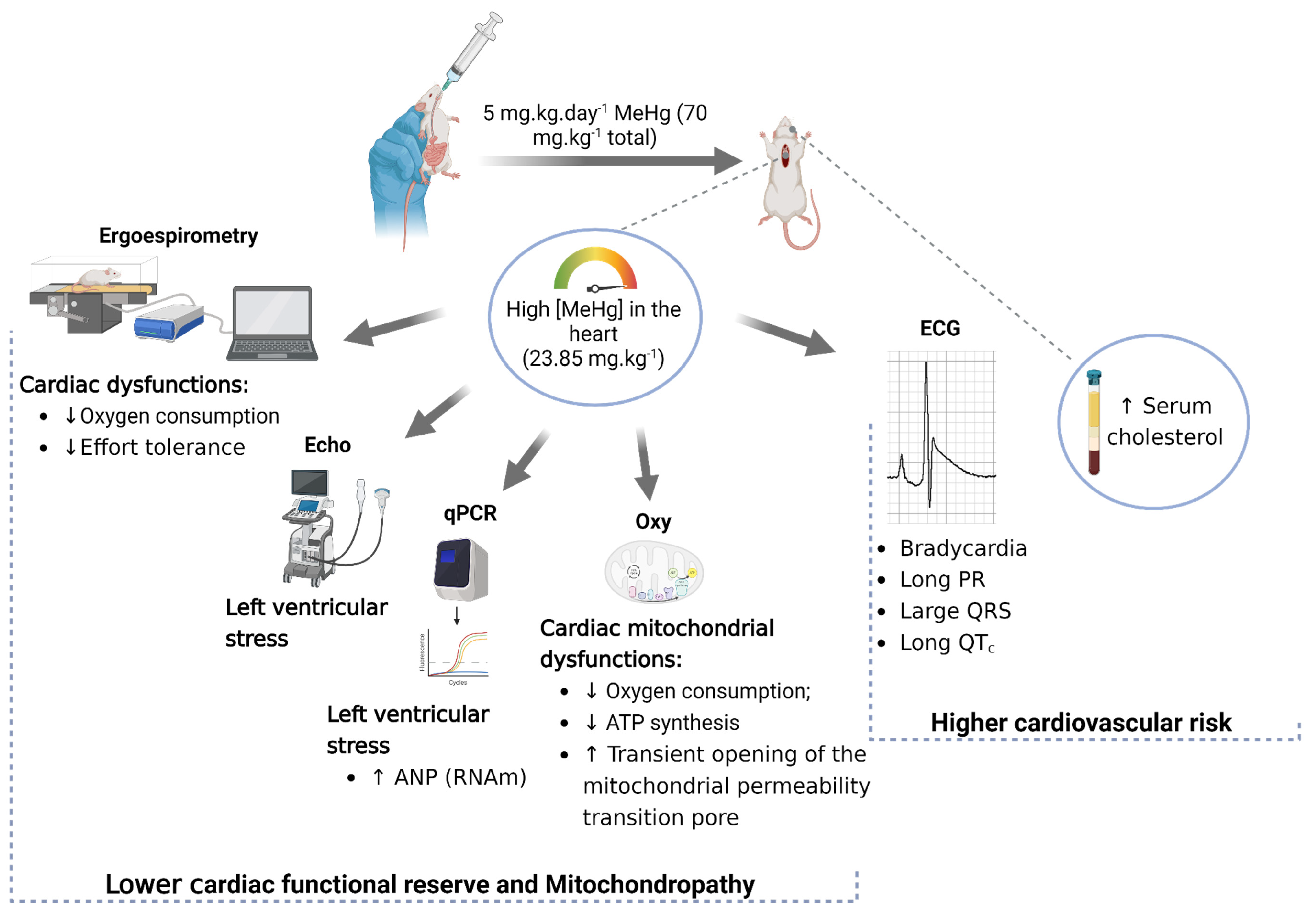 Toxics 12 00712 g008