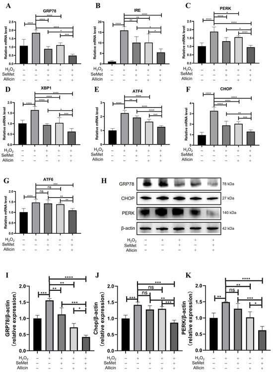 Toxics 12 00719 g005