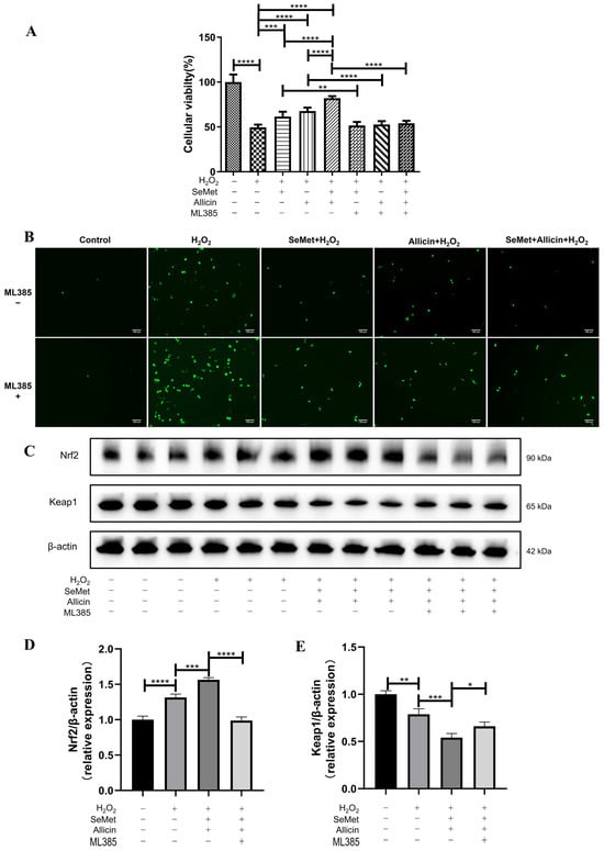 Toxics 12 00719 g006