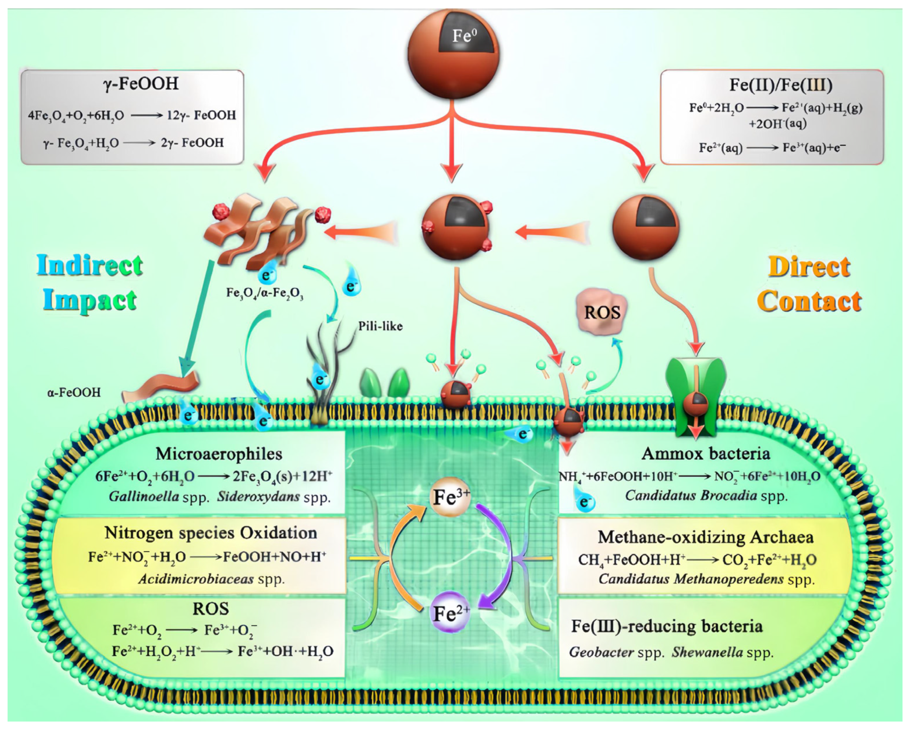 Toxics 12 00721 g004