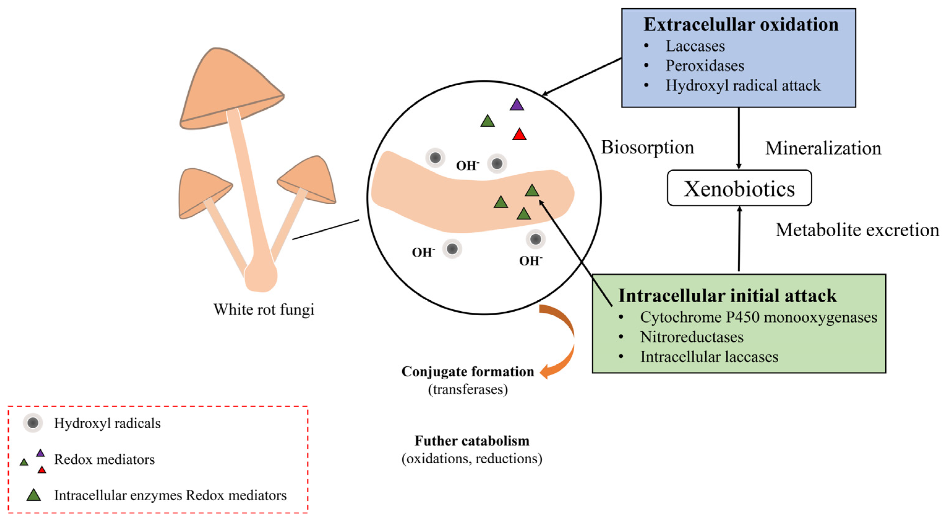 Toxics 12 00721 g006