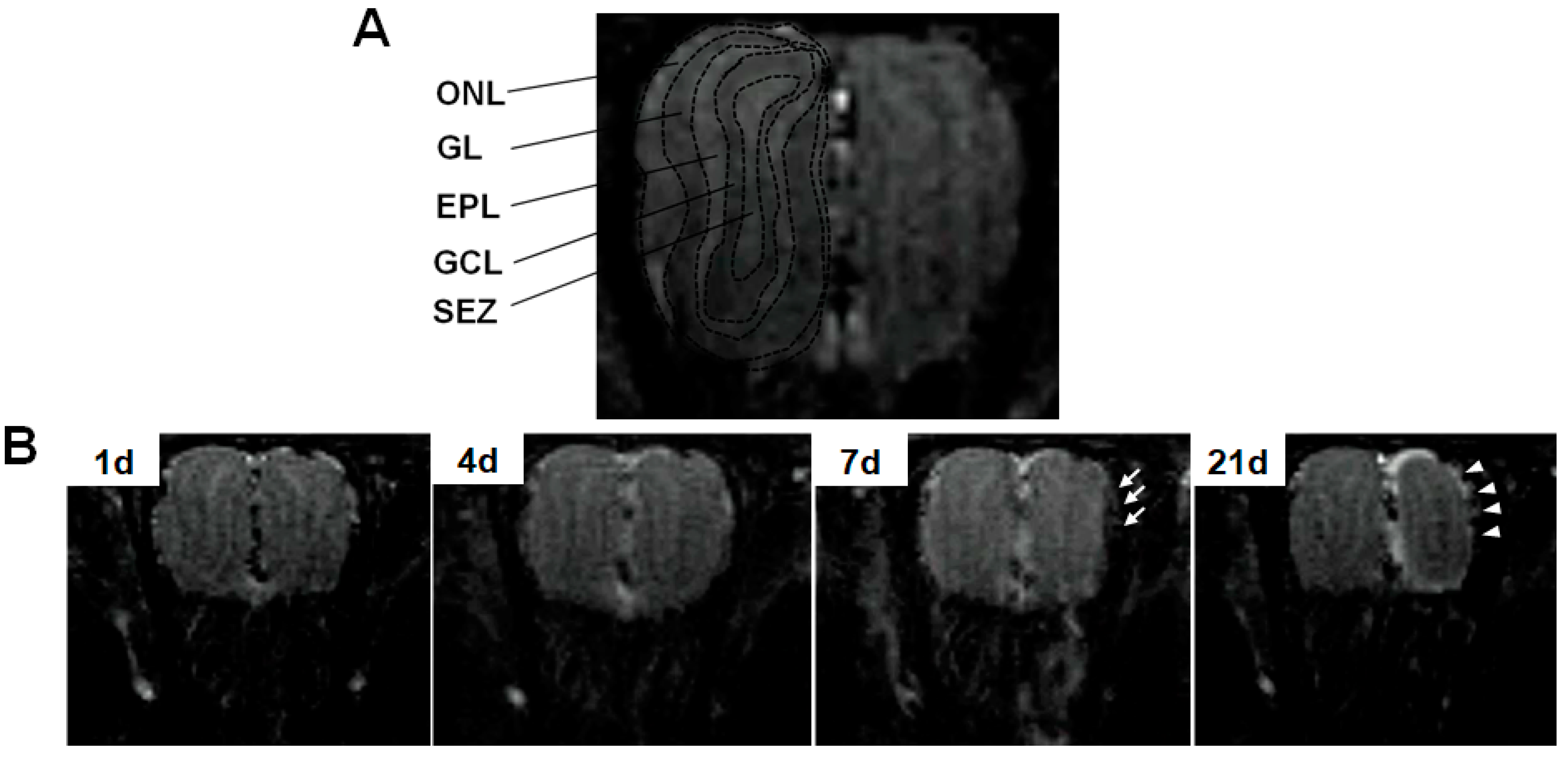 Toxics 12 00724 g005