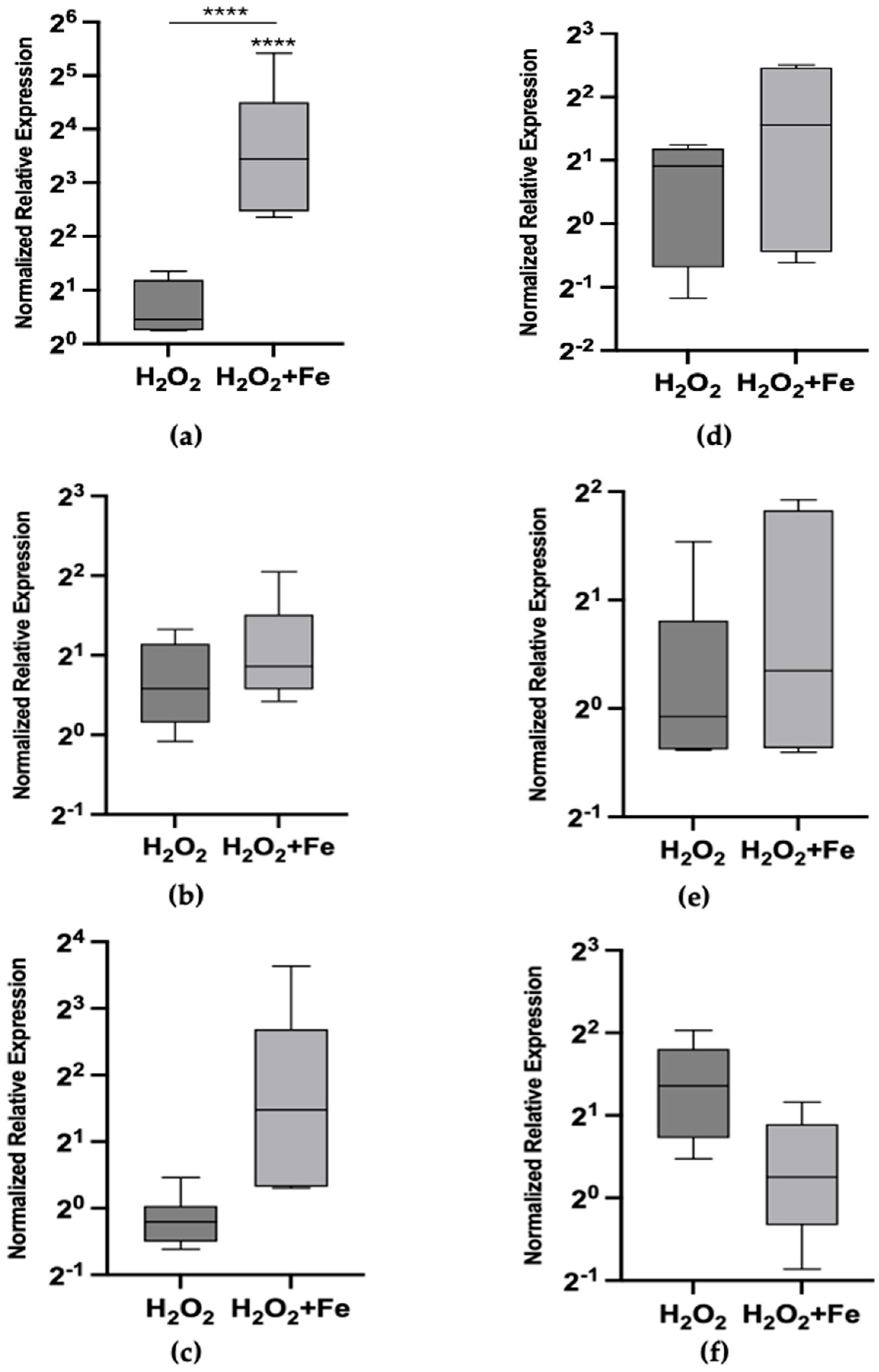 Toxics 12 00725 g001 Toxics 12 00725 g001