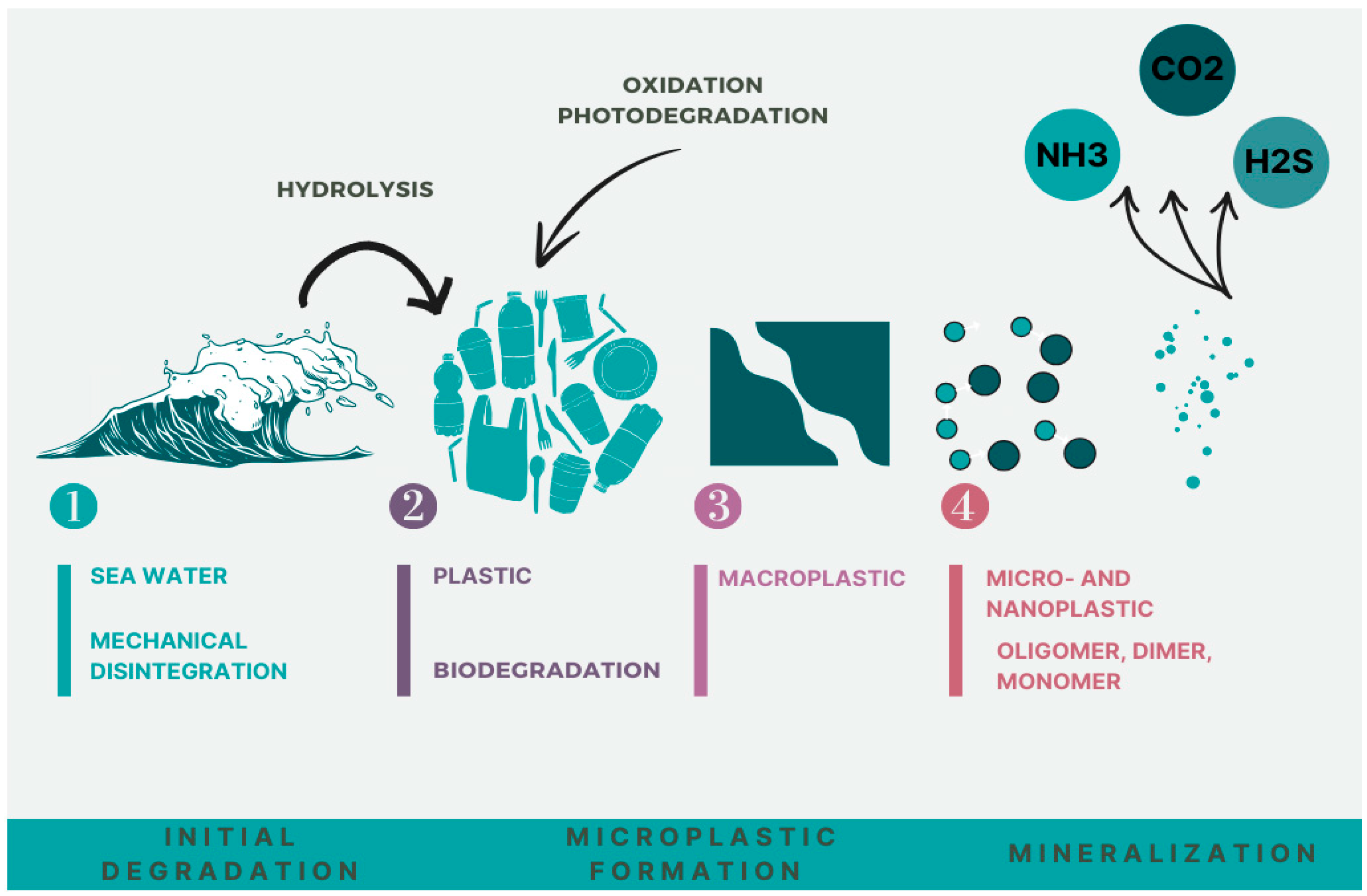 Health Implications of Widespread Micro- and Nanoplastic Exposure ...