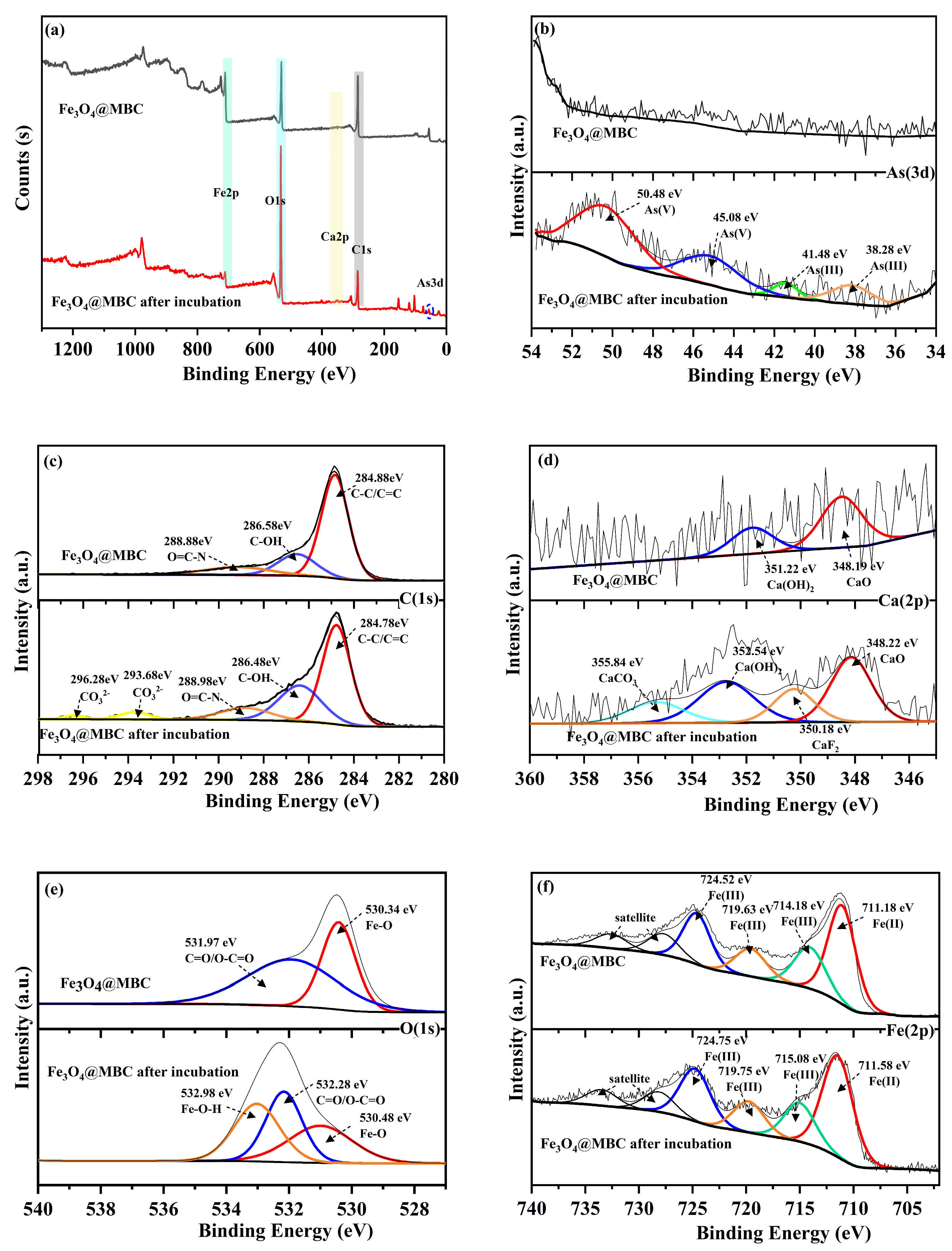 Toxics 12 00765 g007 Toxics 12 00765 g007