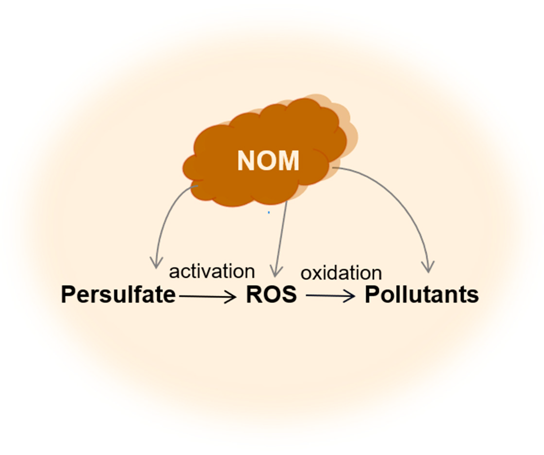 Toxics 12 00770 g001