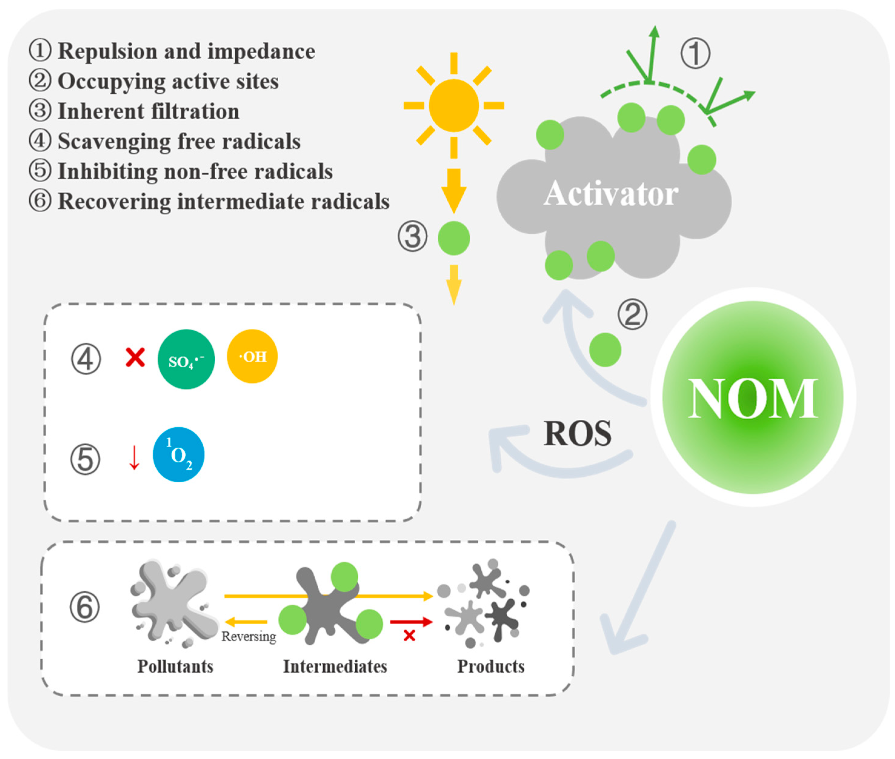 Toxics 12 00770 g002