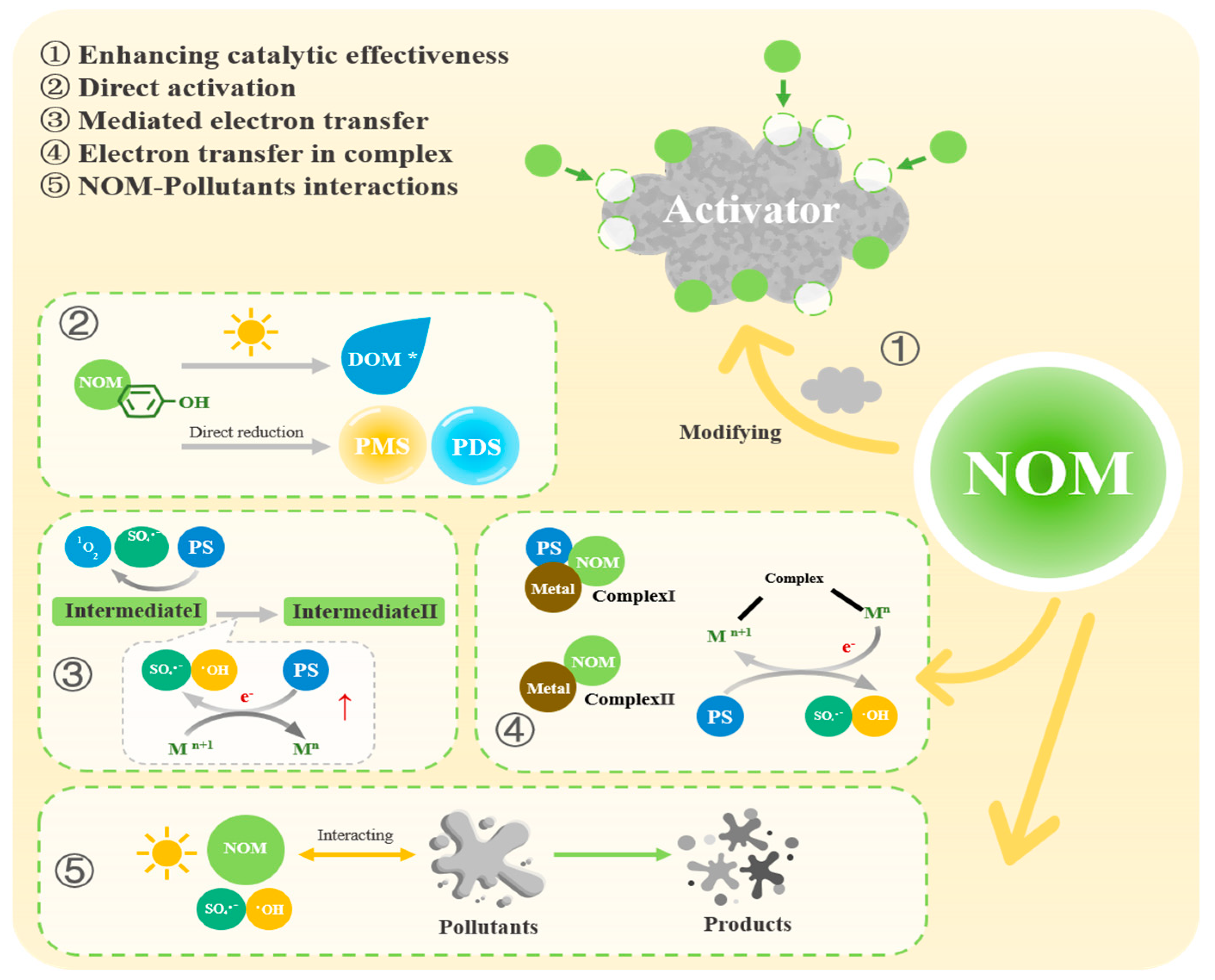 Toxics 12 00770 g003