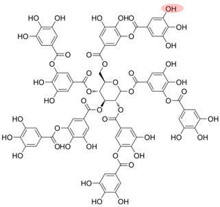 Toxics 12 00770 i002