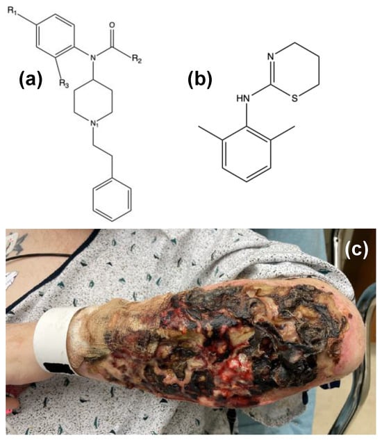 Toxics 12 00791 g001