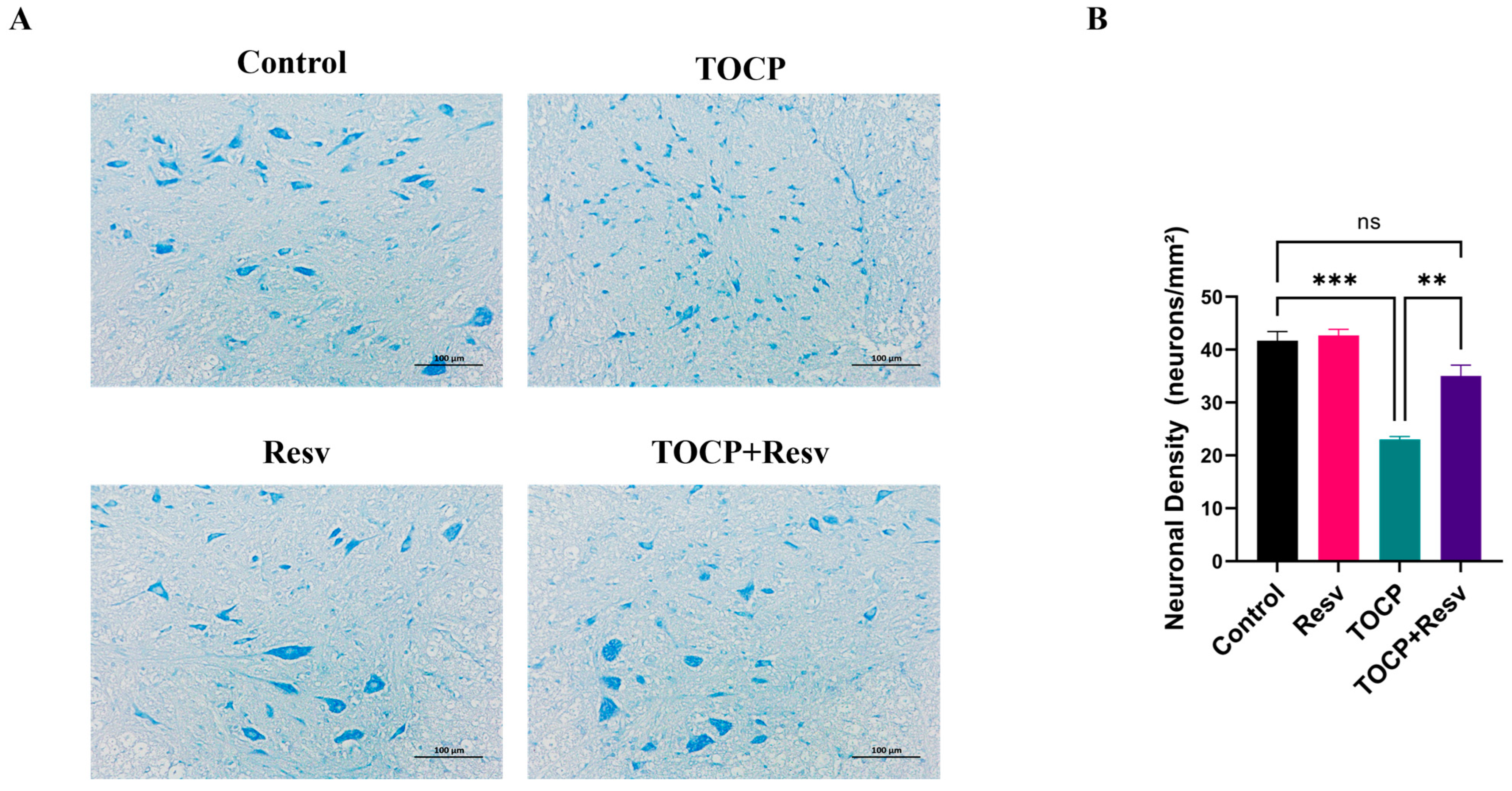 Toxics 12 00810 g005 Toxics 12 00810 g005
