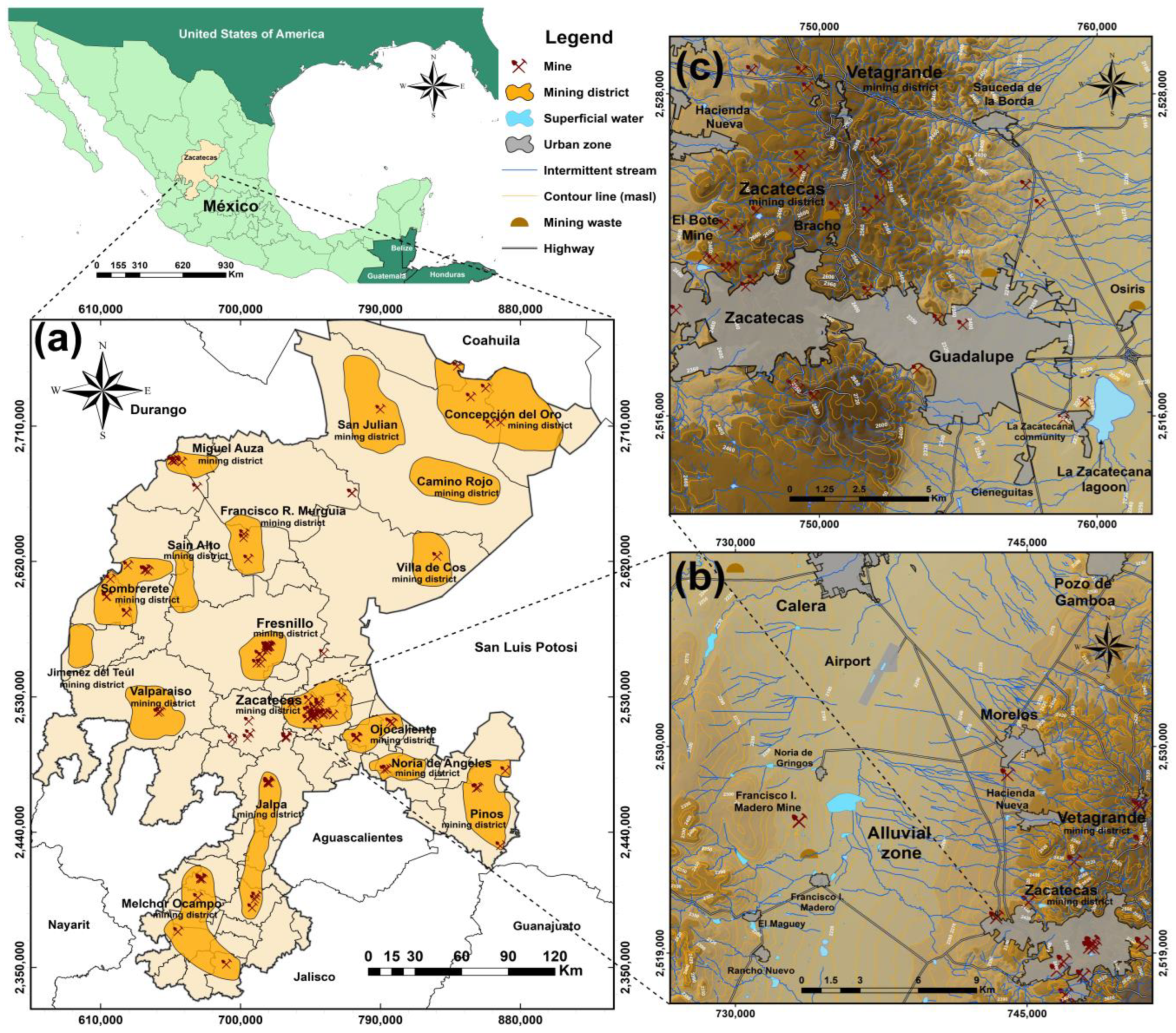 Toxics 12 00813 g001