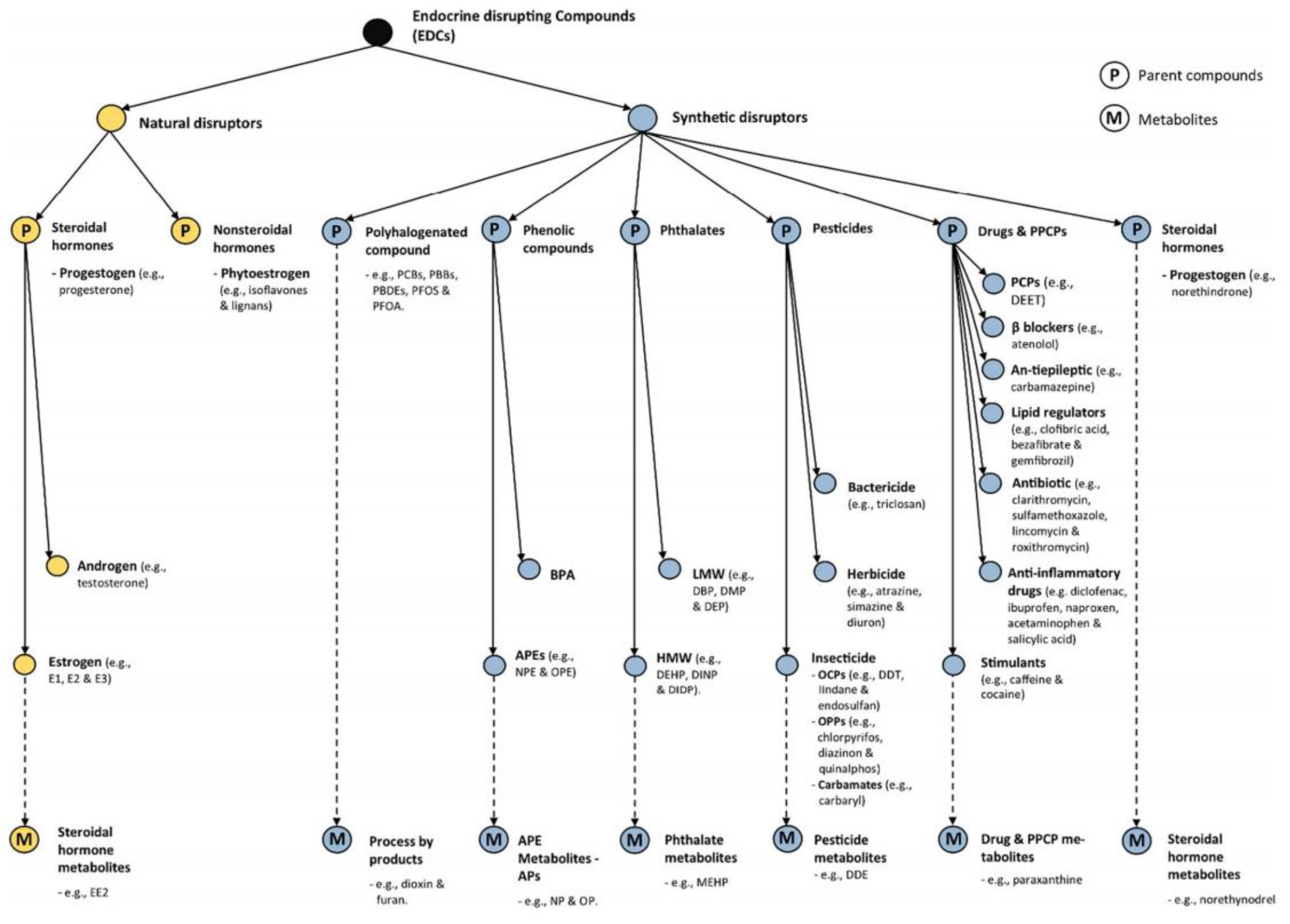 Toxics 12 00814 g001