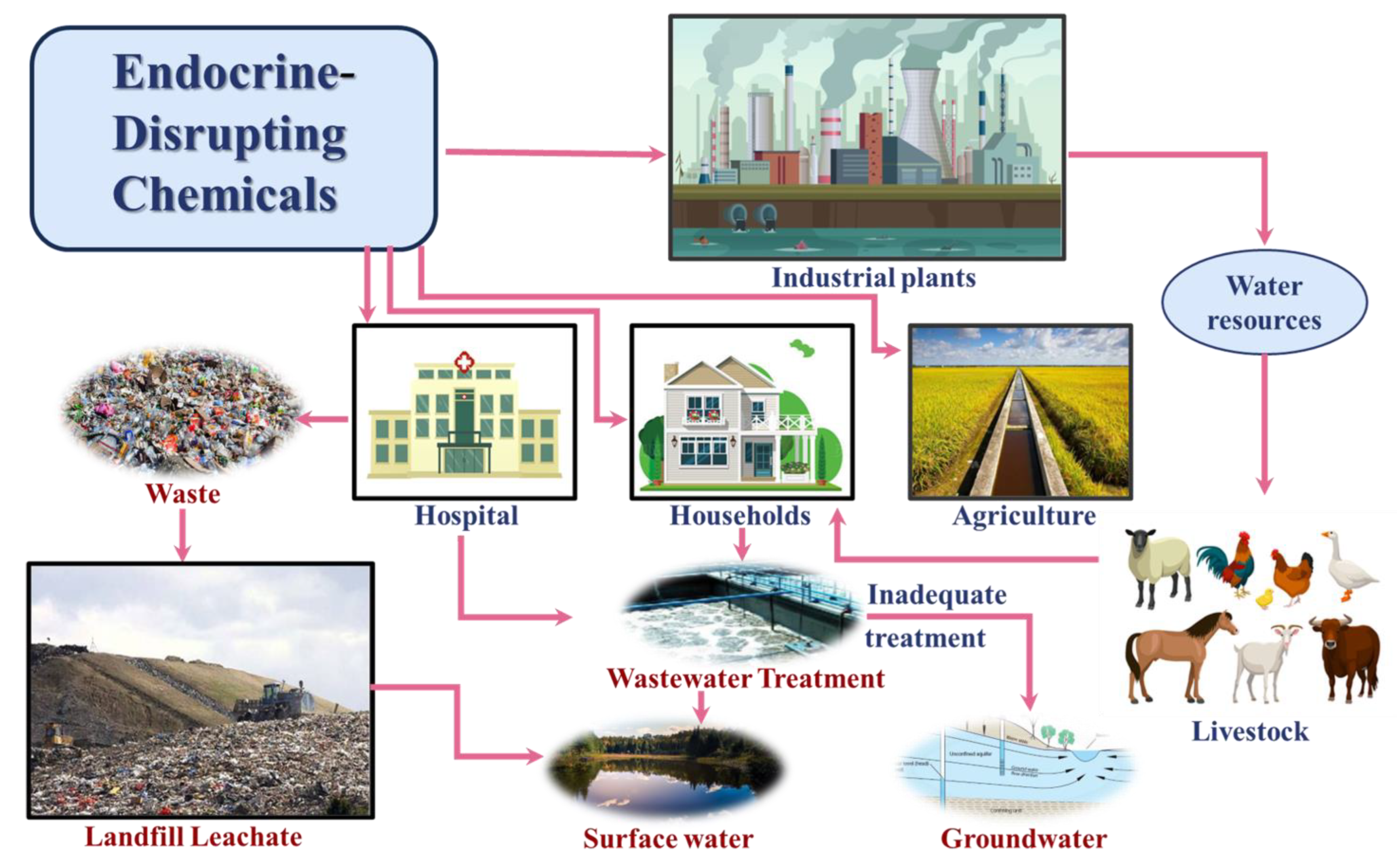 Toxics 12 00814 g002
