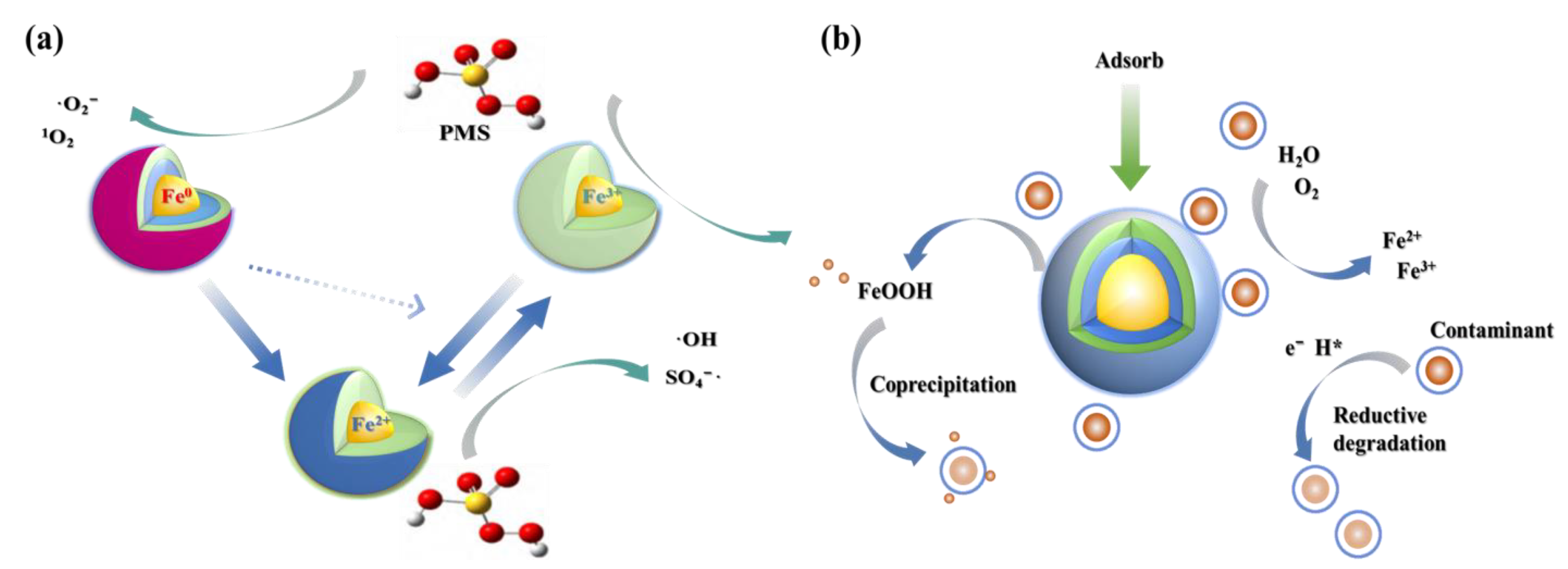 Toxics 12 00814 g004