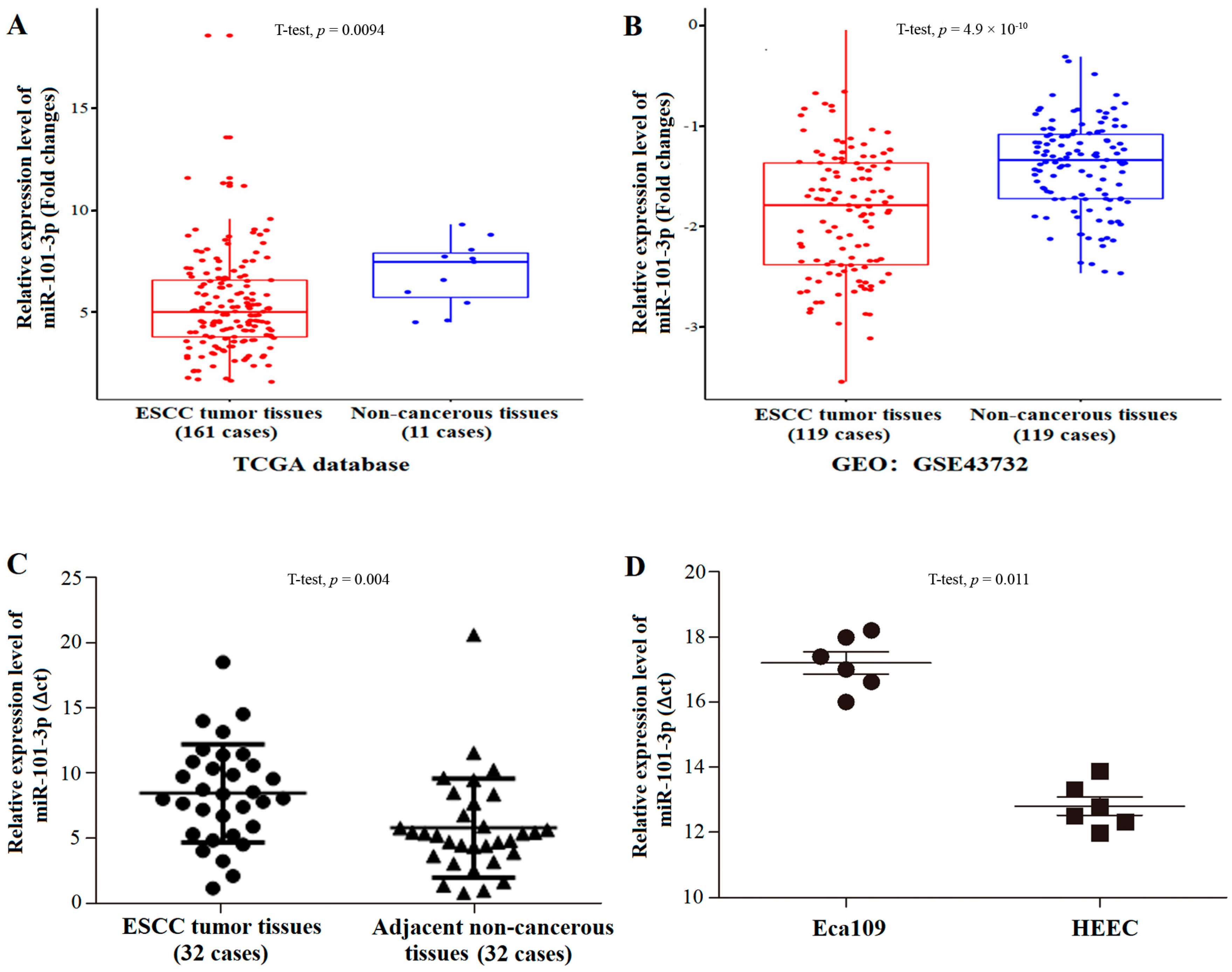 Toxics 12 00824 g003