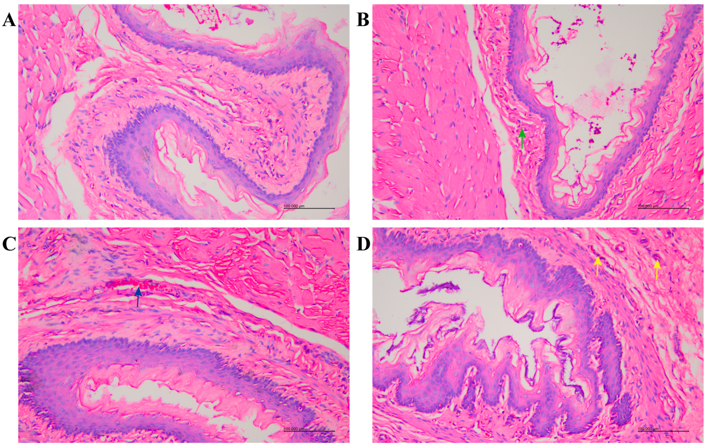 Toxics 12 00824 g006