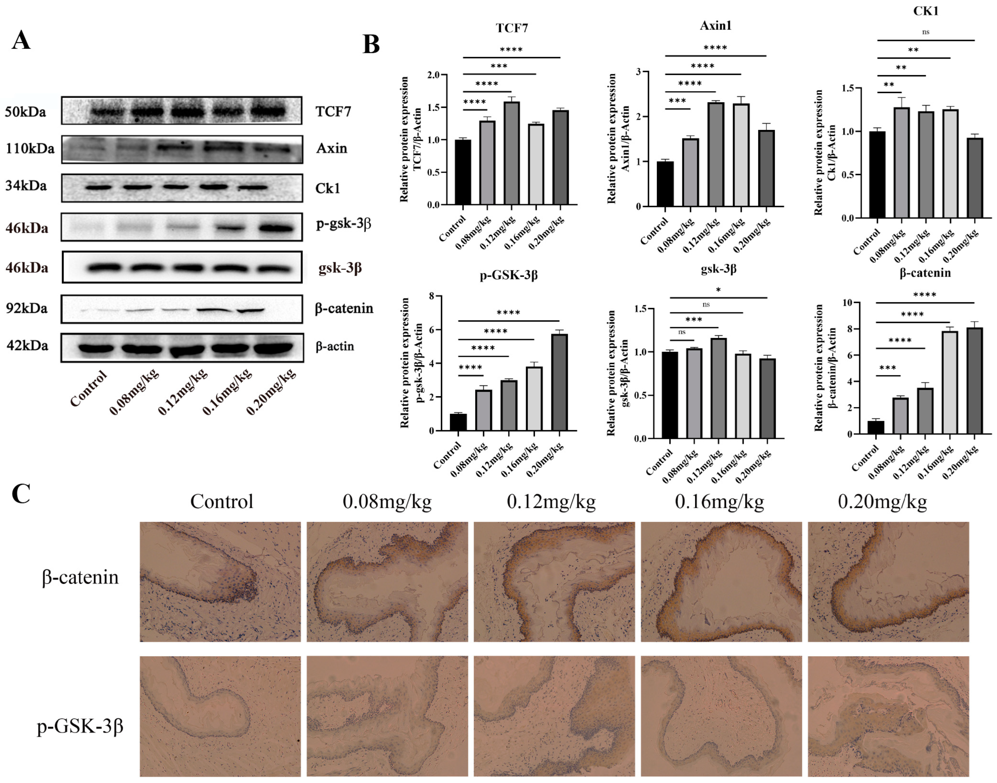 Toxics 12 00824 g008