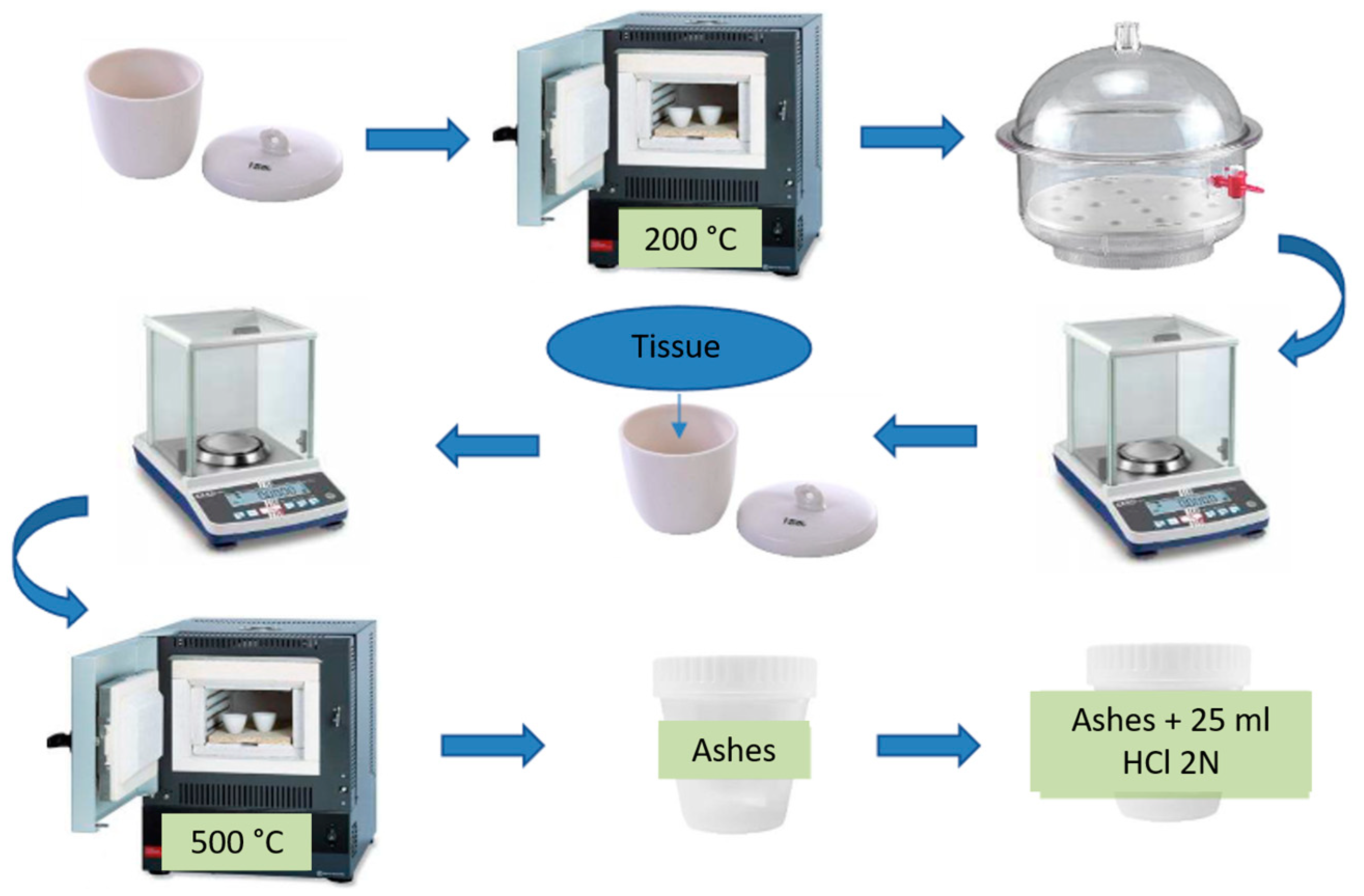 Toxics 12 00830 g002 Toxics 12 00830 g002