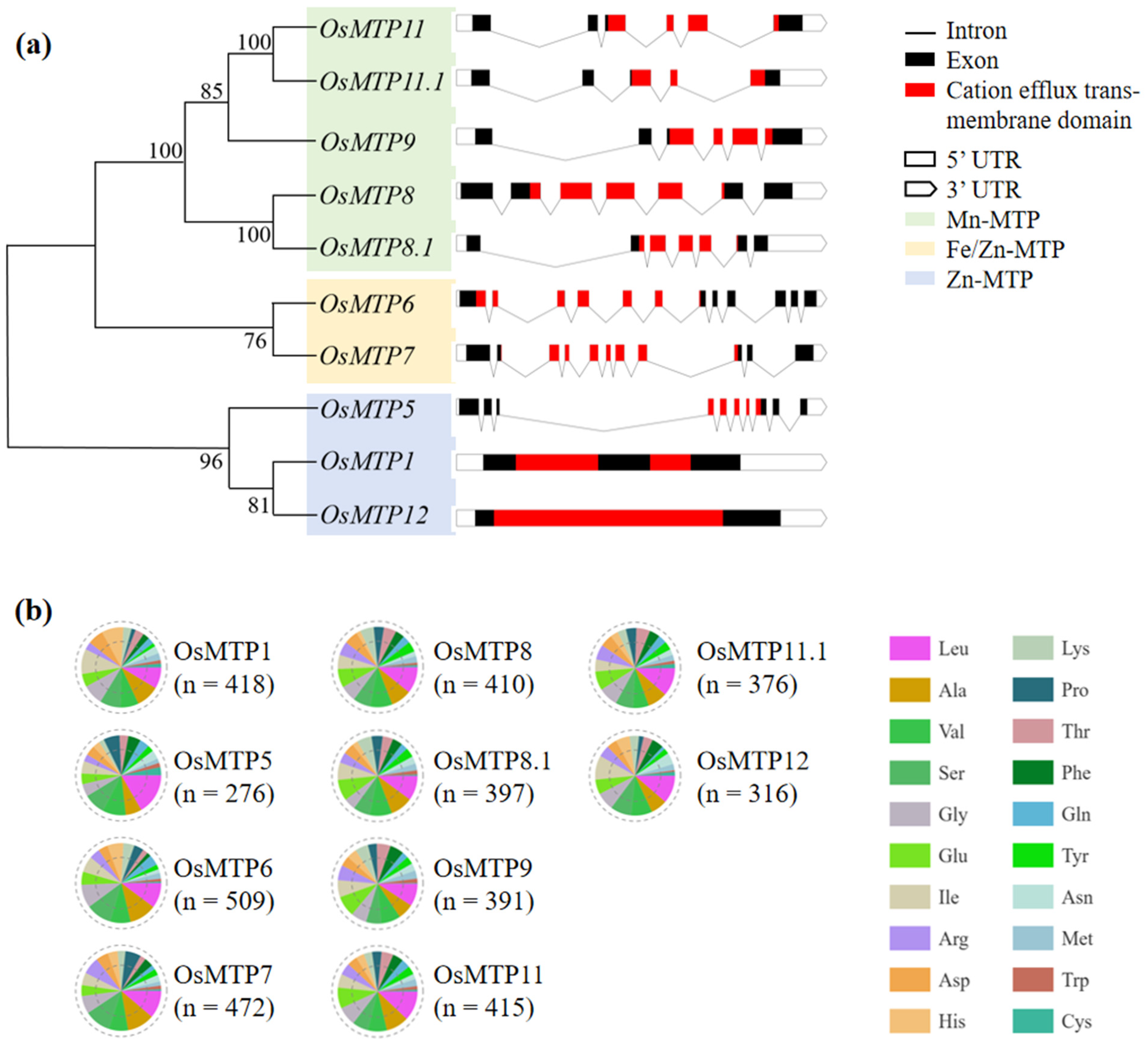 Toxics 12 00831 g001