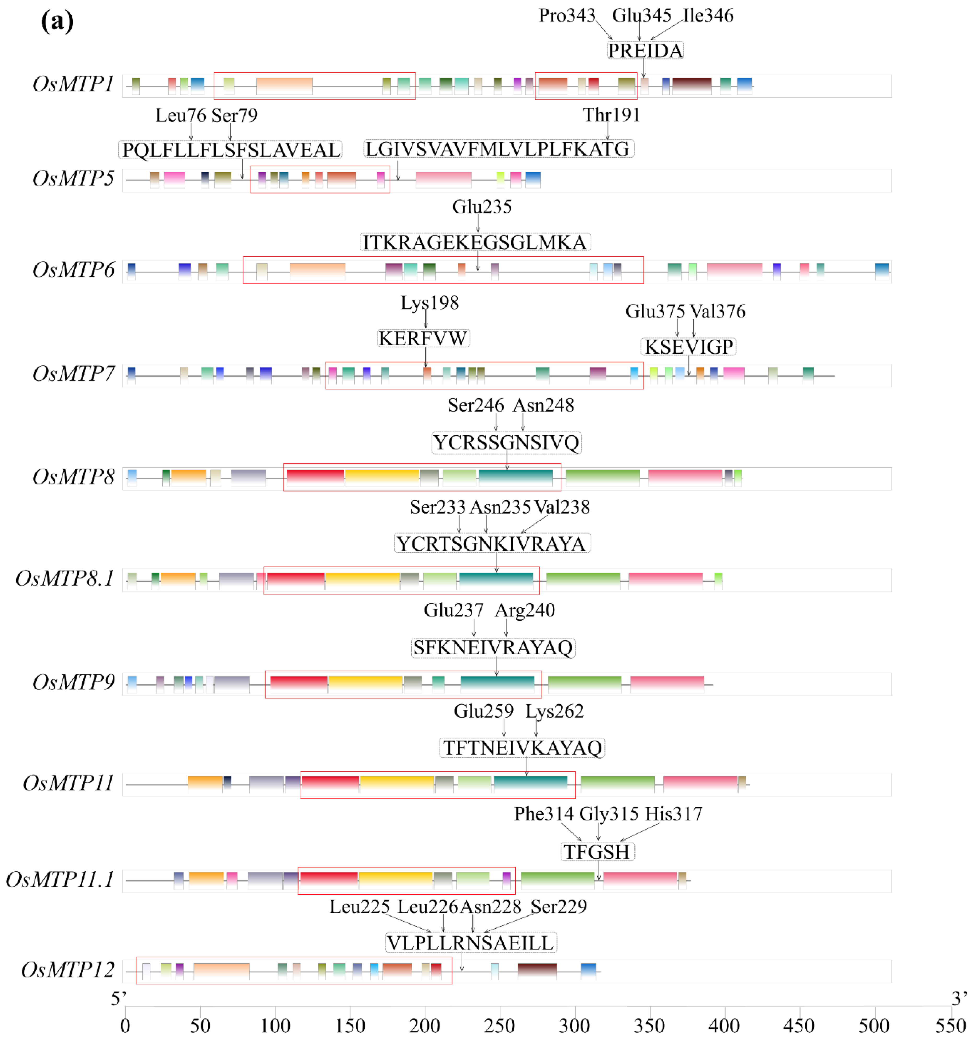 Toxics 12 00831 g002a