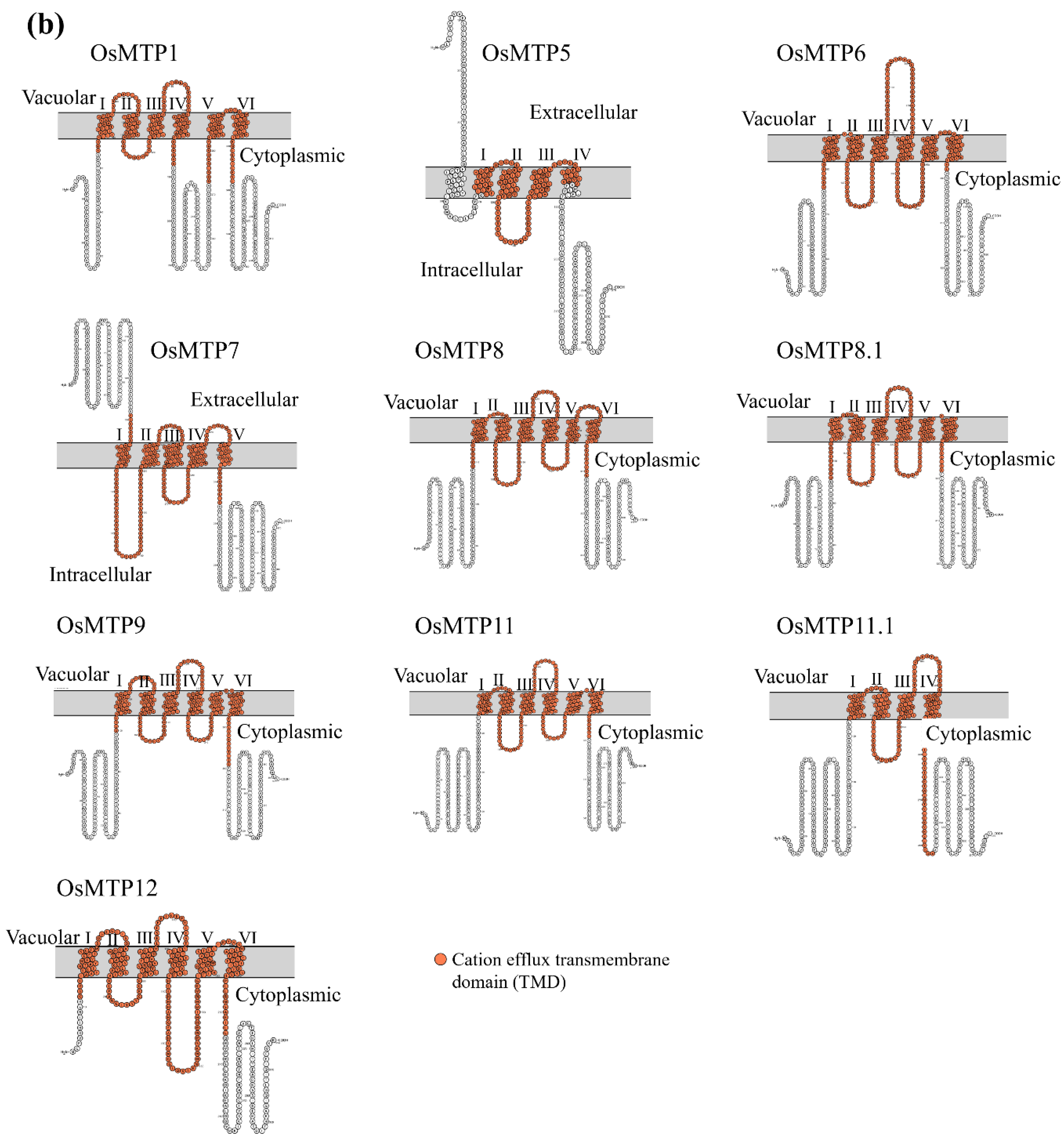 Toxics 12 00831 g002b
