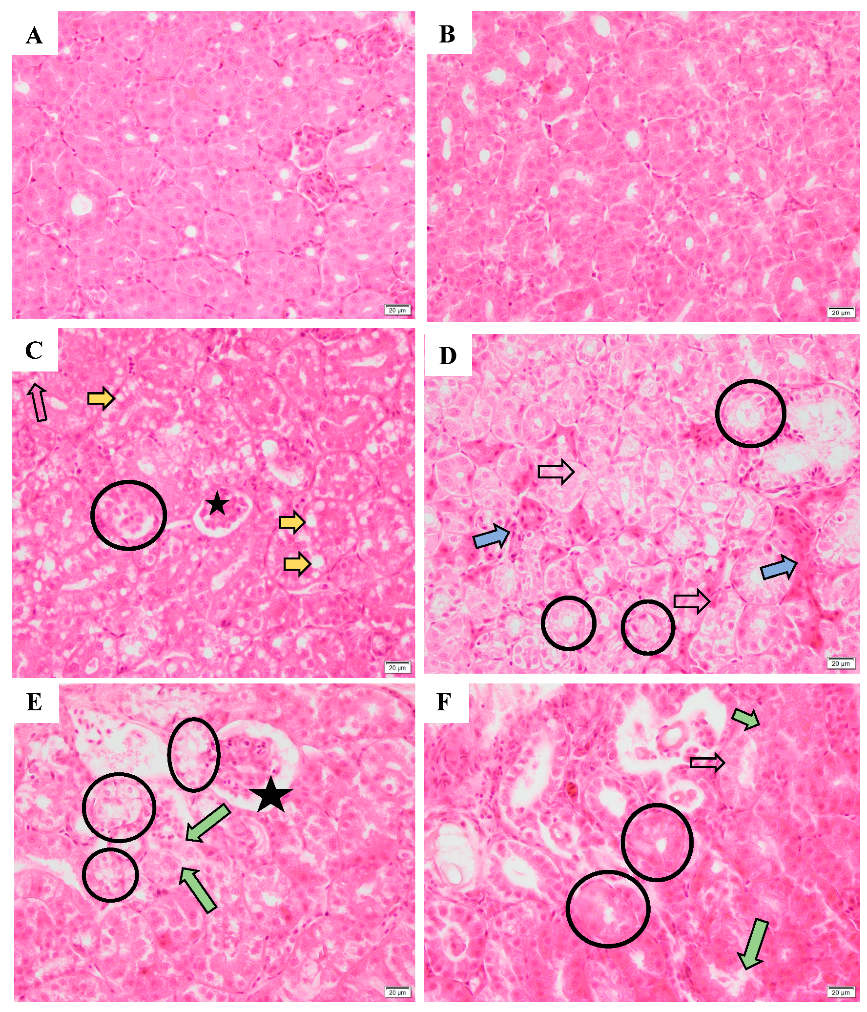 Toxics 12 00834 g007 Toxics 12 00834 g007