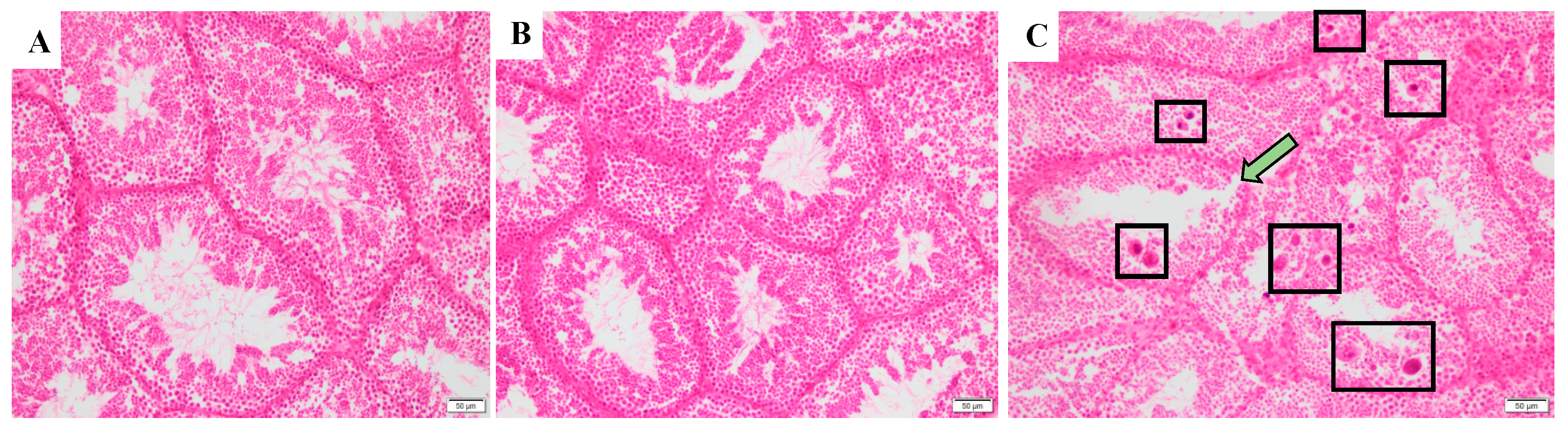 Toxics 12 00834 g008 Toxics 12 00834 g008