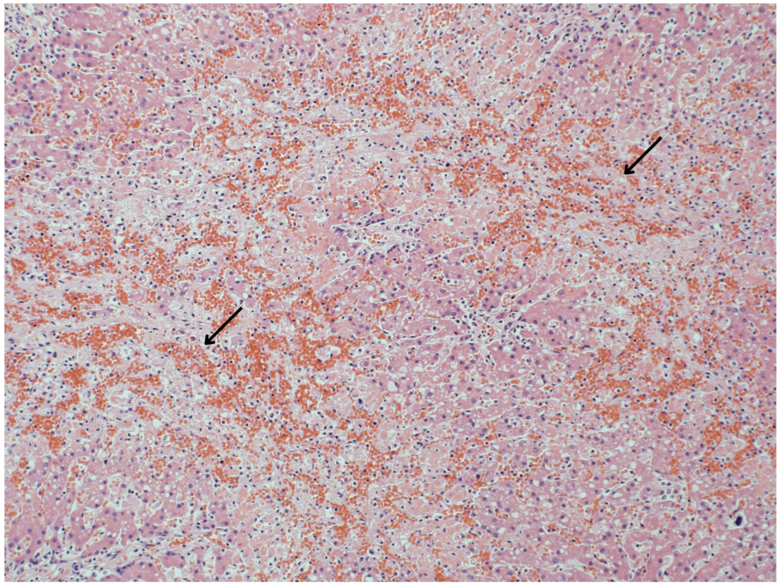 Toxics 12 00858 g002 Toxics 12 00858 g002