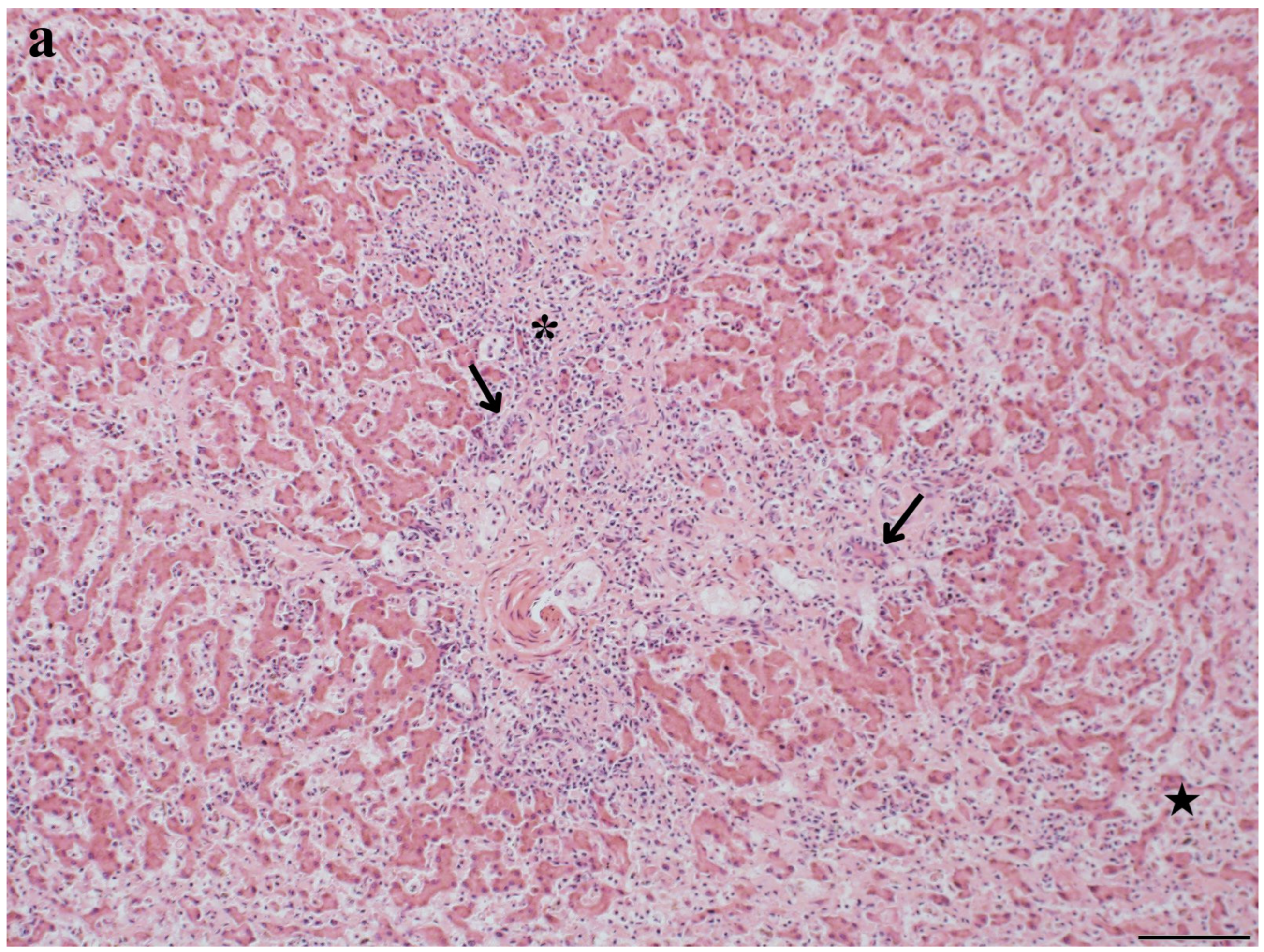 Toxics 12 00858 g003a Toxics 12 00858 g003a