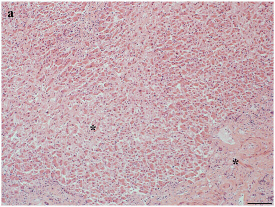 Toxics 12 00858 g004a Toxics 12 00858 g004a