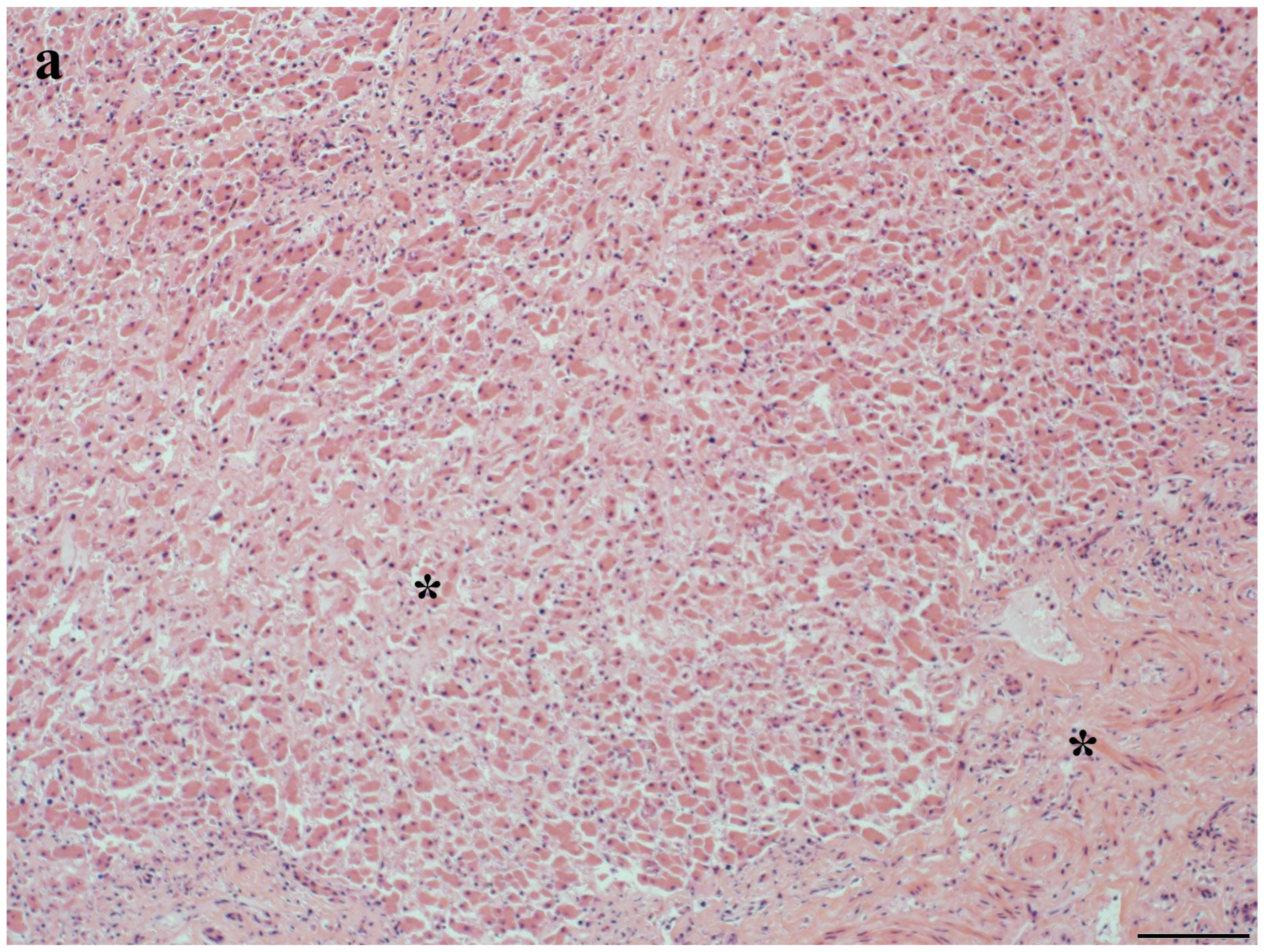 Toxics 12 00858 g004a Toxics 12 00858 g004a