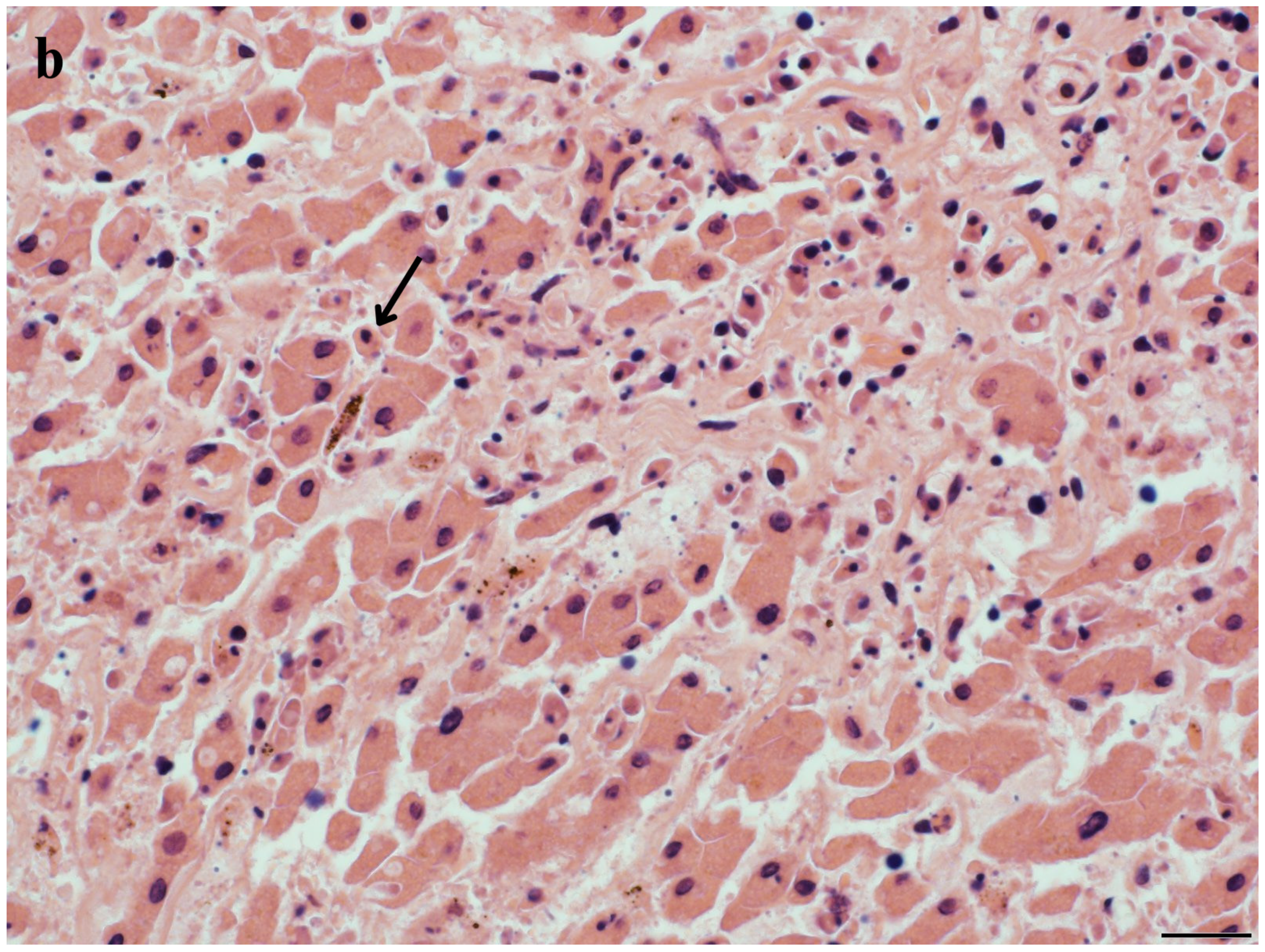 Toxics 12 00858 g004b Toxics 12 00858 g004b
