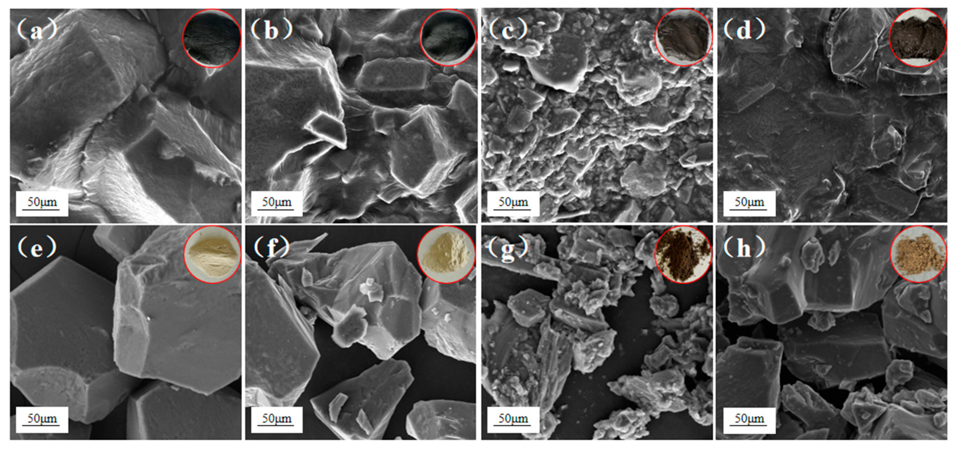 Toxics 12 00880 g006 Toxics 12 00880 g006