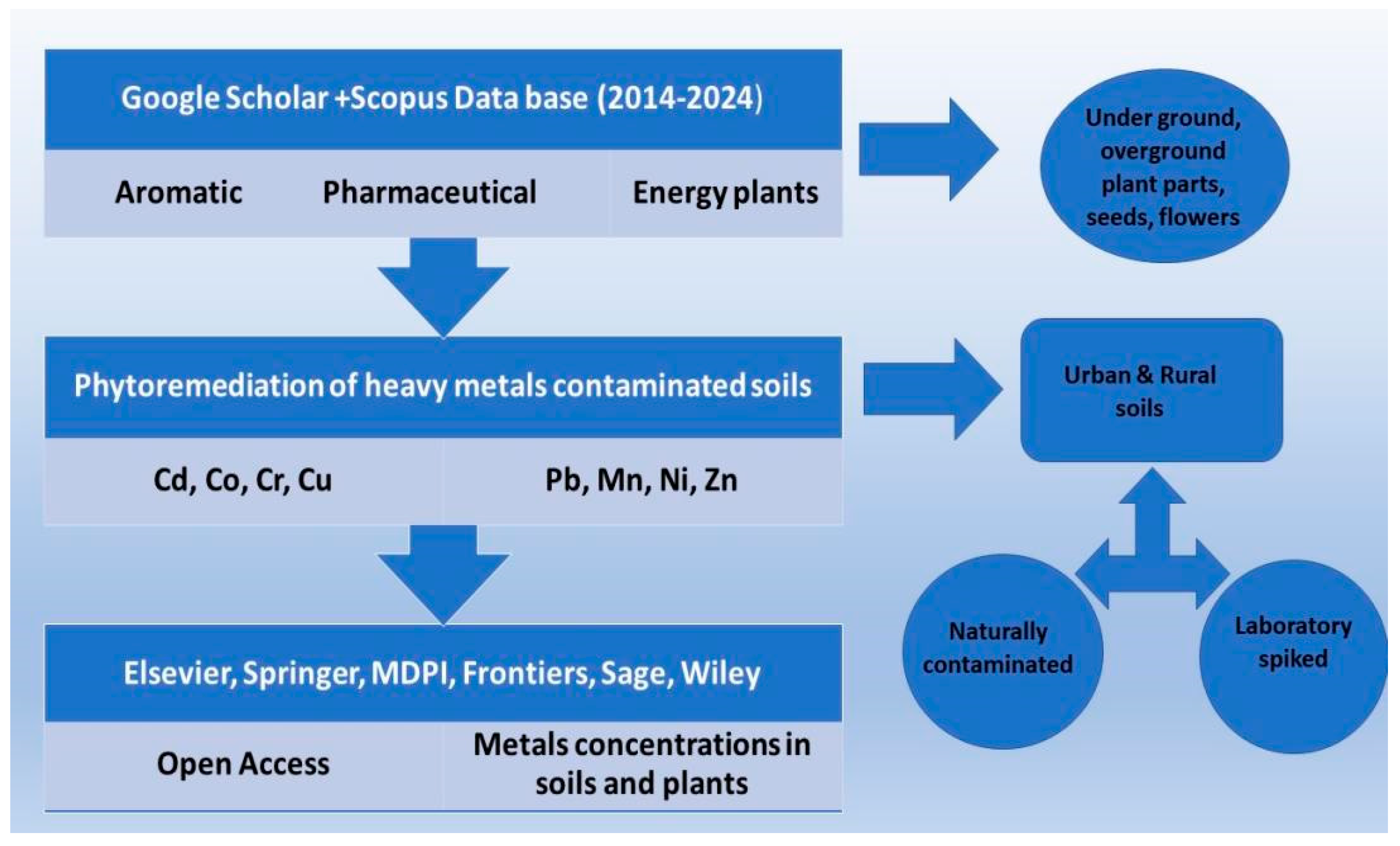 Toxics 12 00914 g003
