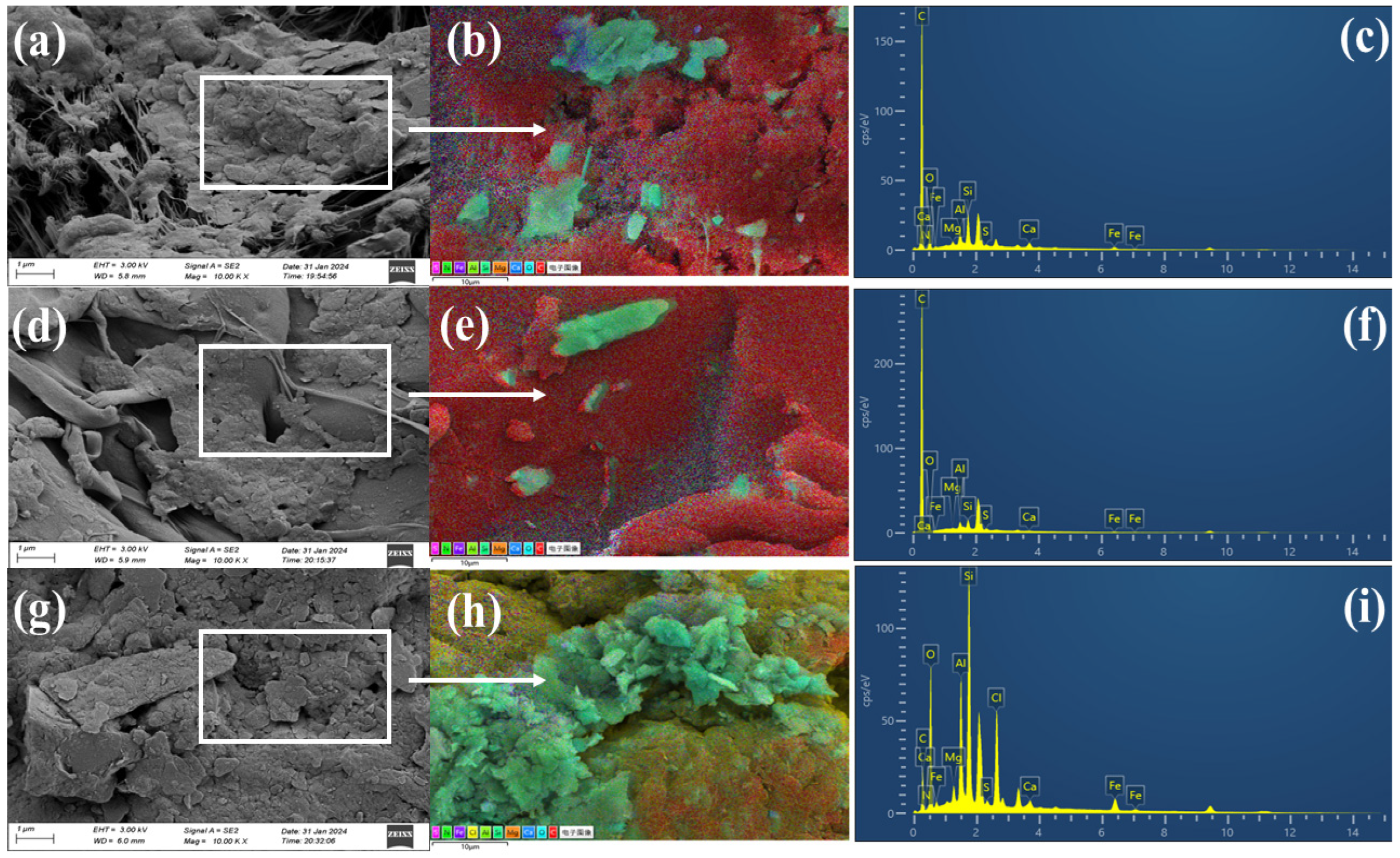 Toxics 12 00922 g003