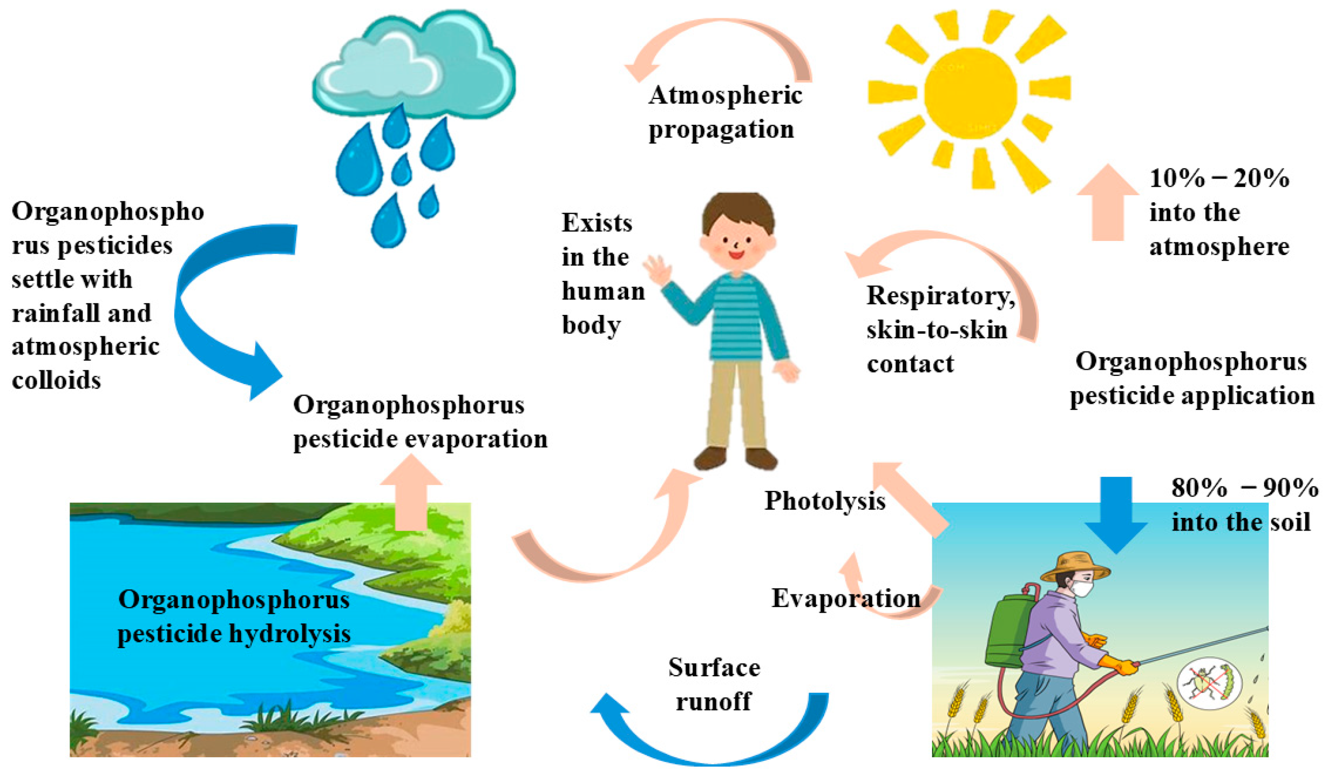 Toxics 12 00926 g003